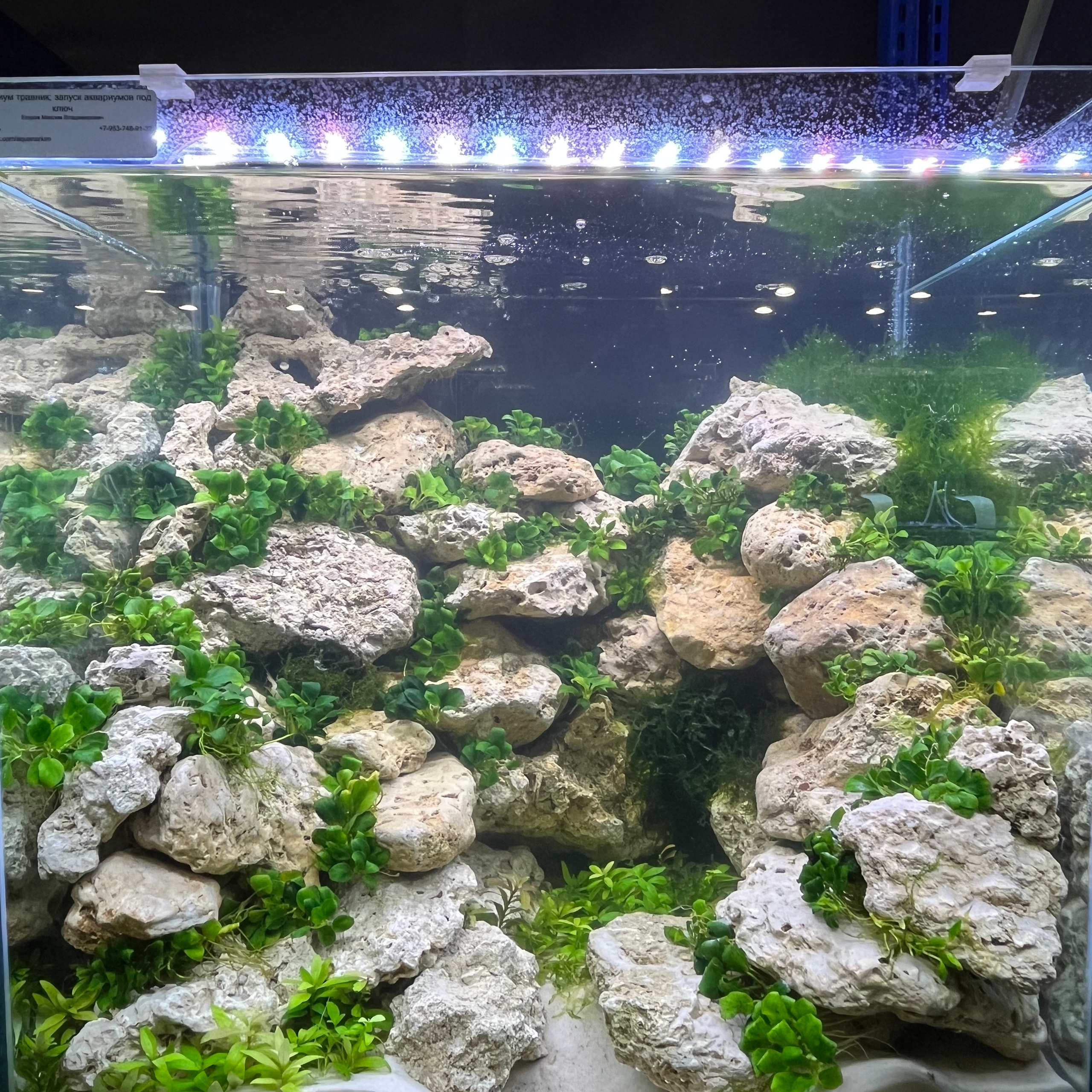 π΄ Π ΡΡΡΠΊΠΈΠ΅ Π°ΠΊΠ²Π°ΡΠΈΡΠΌΡ 2025. Home