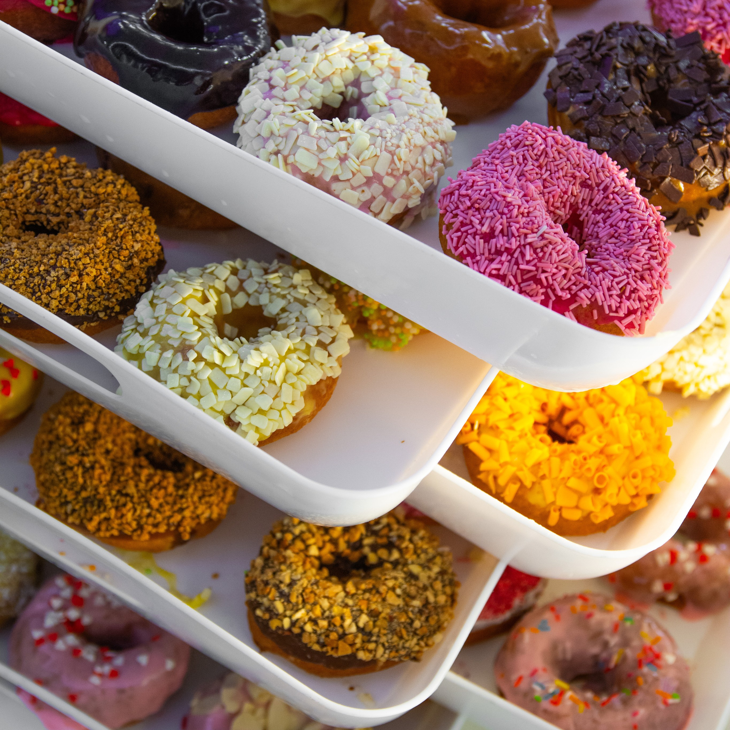 Topchiki. Photographer in Belarus — Olga Shapovalova (Zhardeckaya)