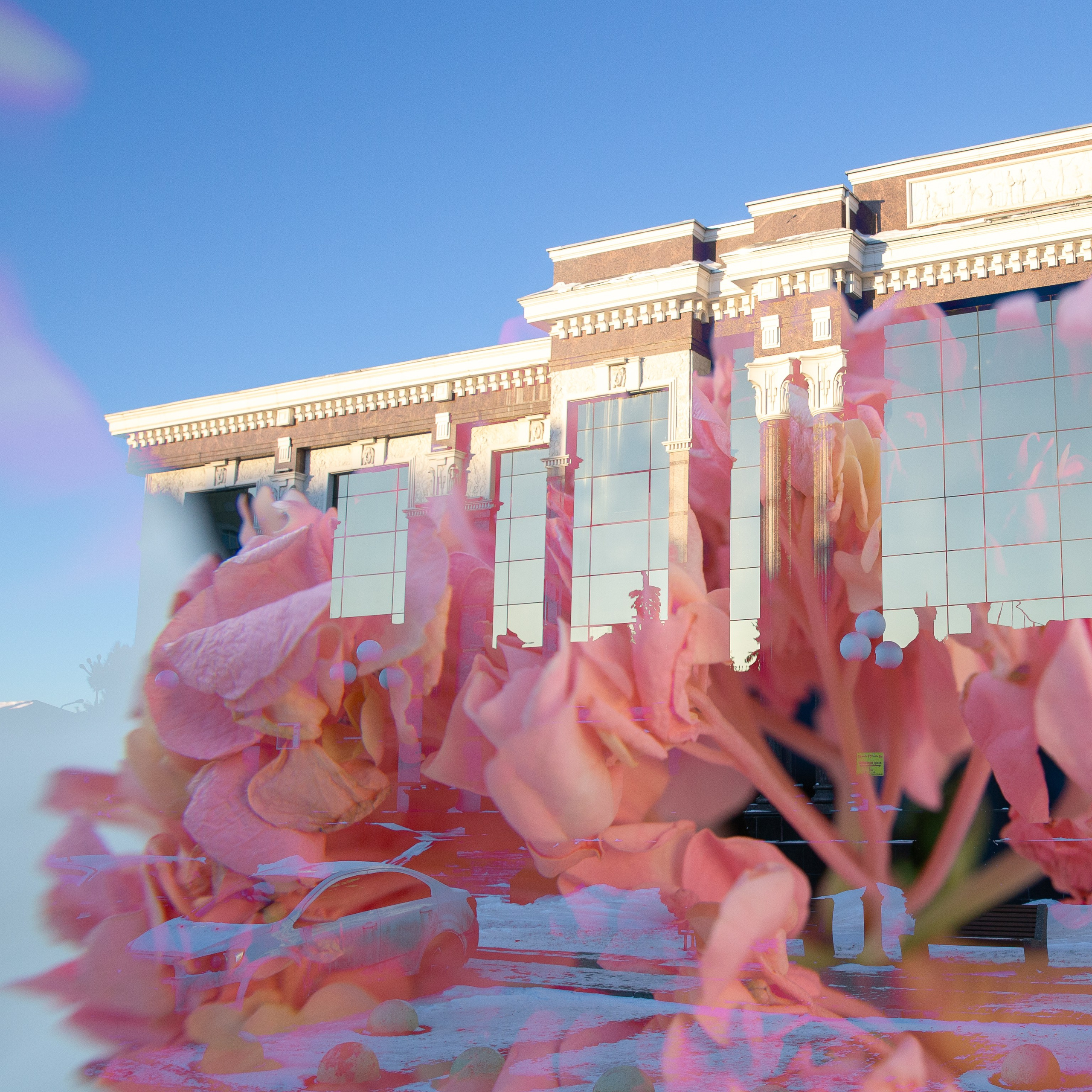 СТРОФА 5 — СНЫ