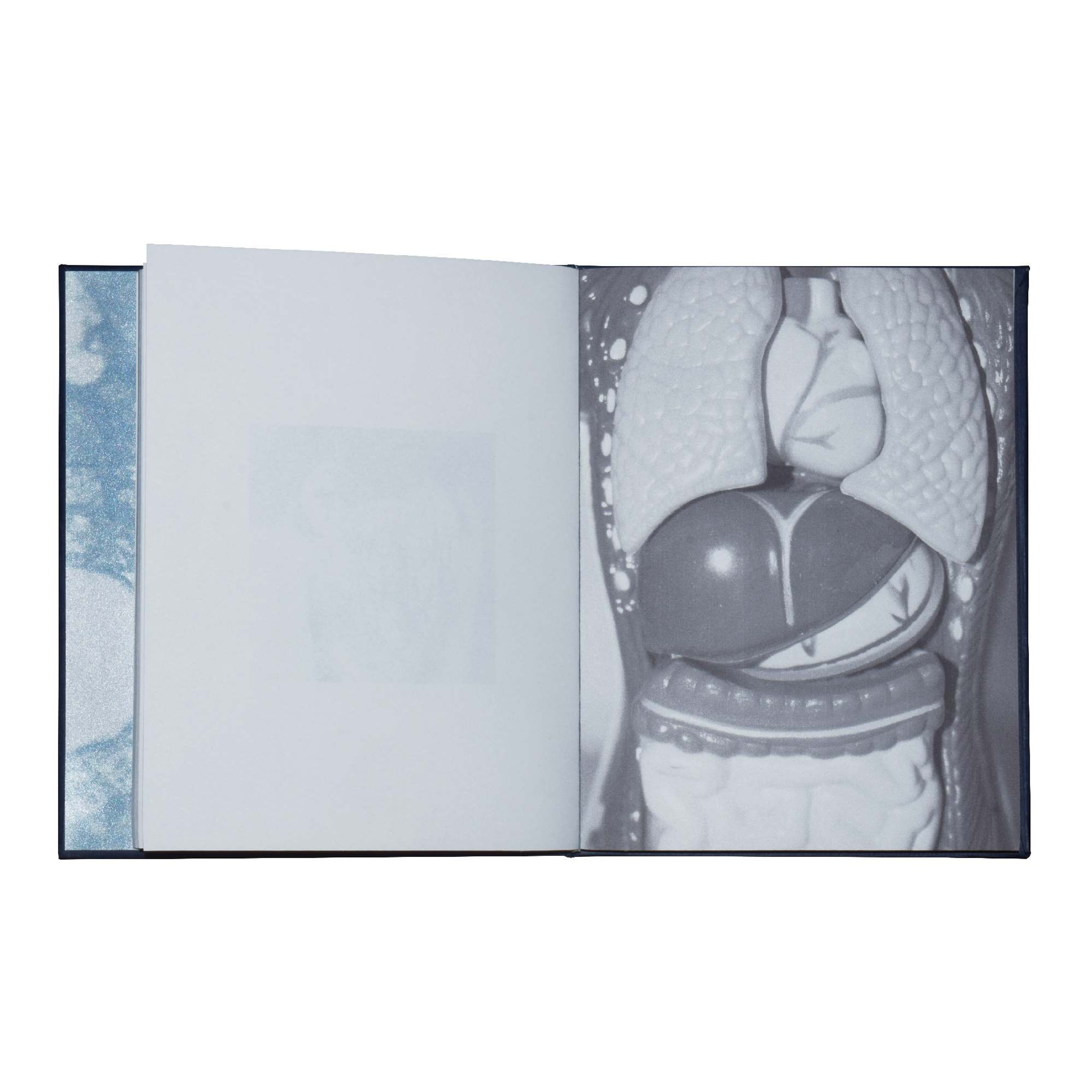 When you leave us, I'll live in your room. Maria Pilkevich