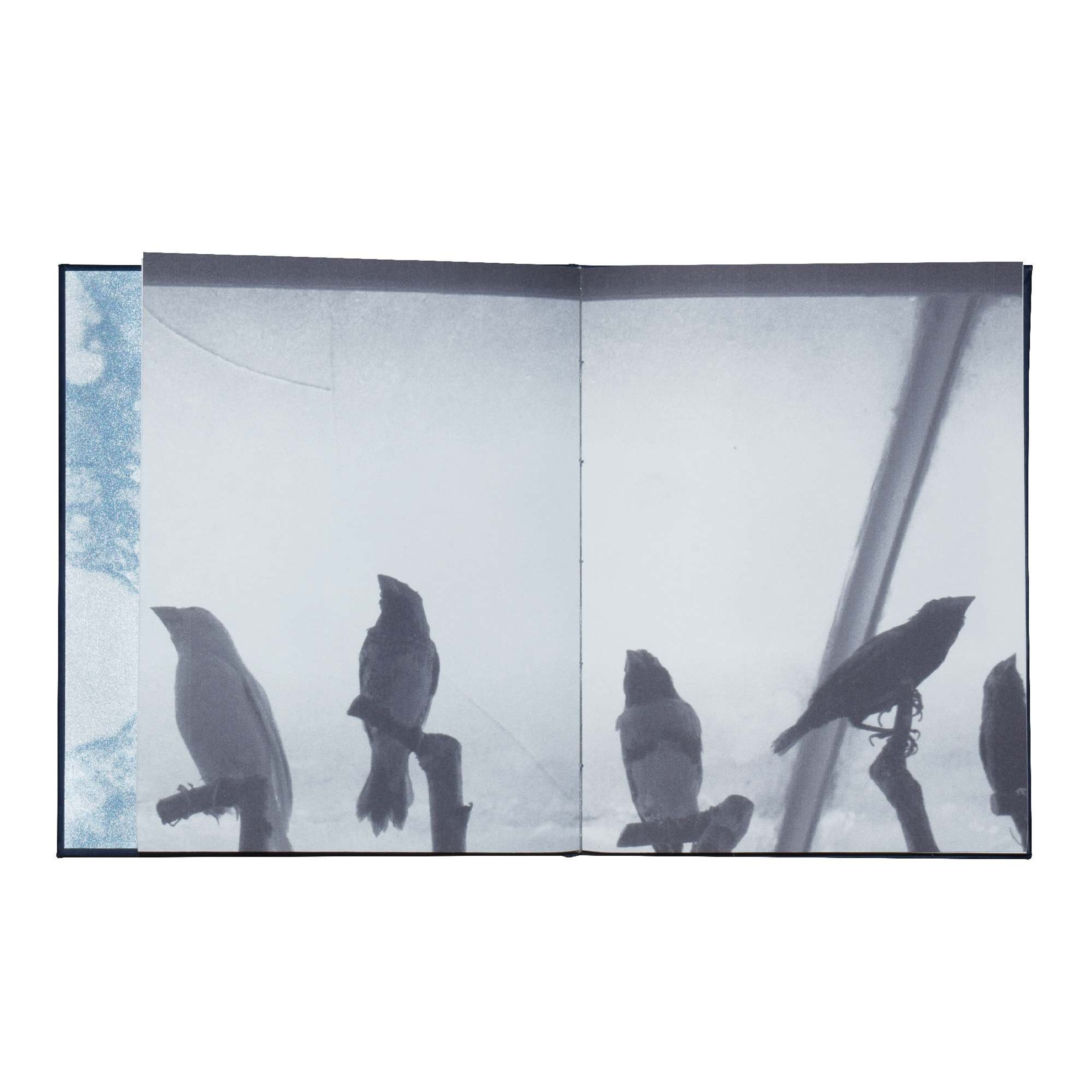 When you leave us, I'll live in your room. Maria Pilkevich