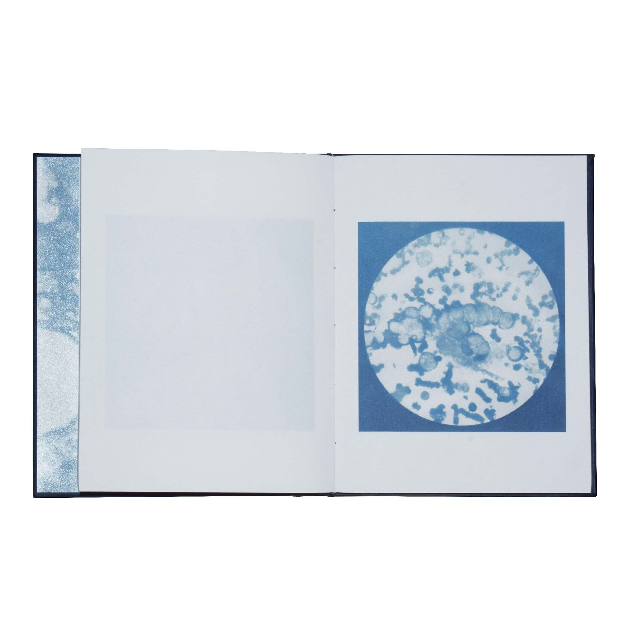 When you leave us, I'll live in your room. Maria Pilkevich