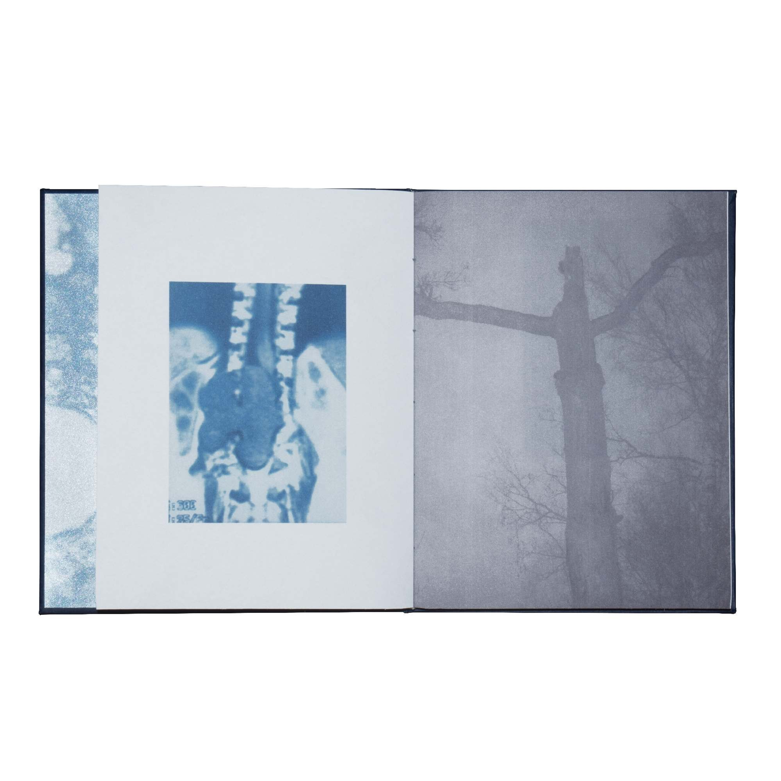 When you leave us, I'll live in your room. Maria Pilkevich