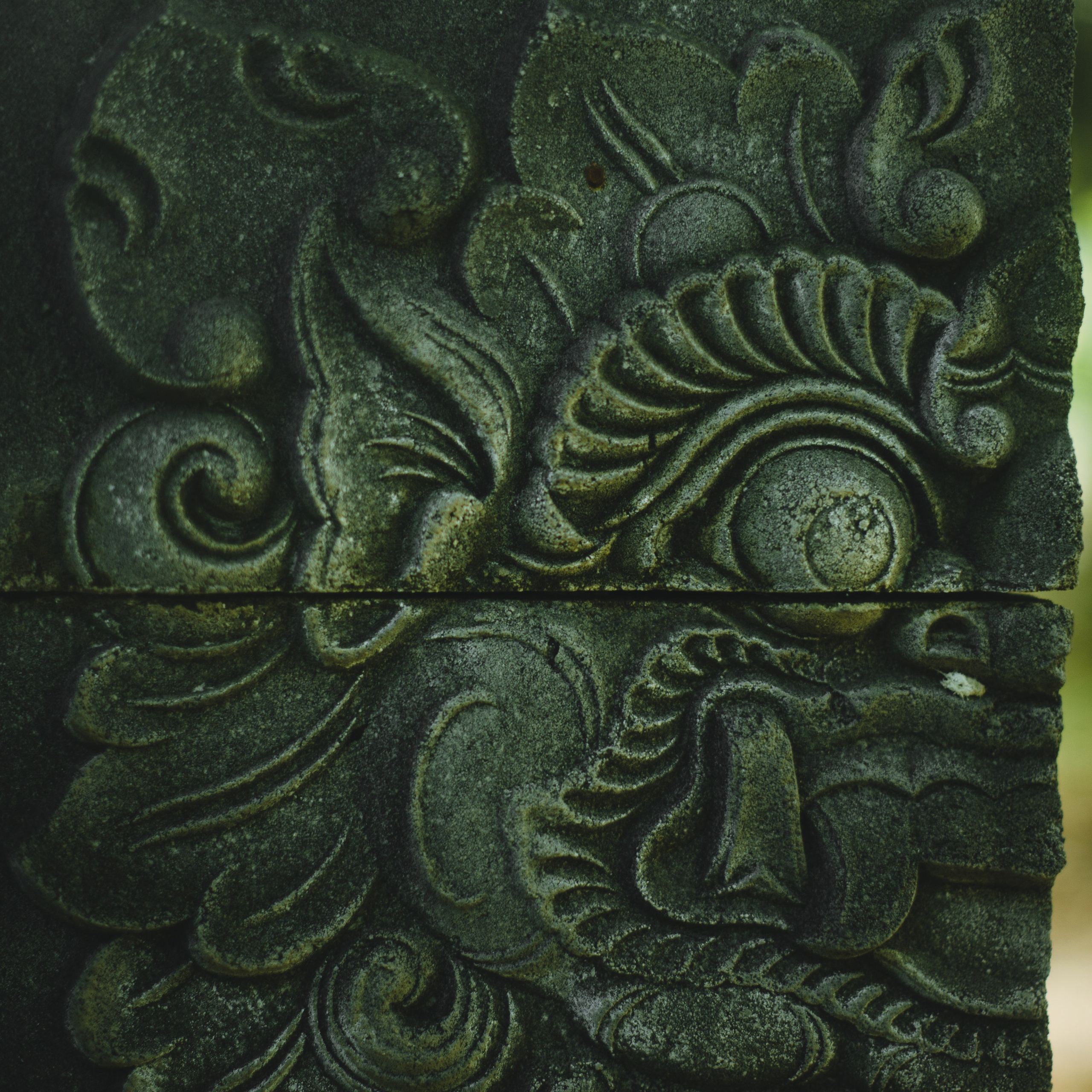 Ботанический сад • Perdana Botanical Gardens. Фотограф Катя Любина