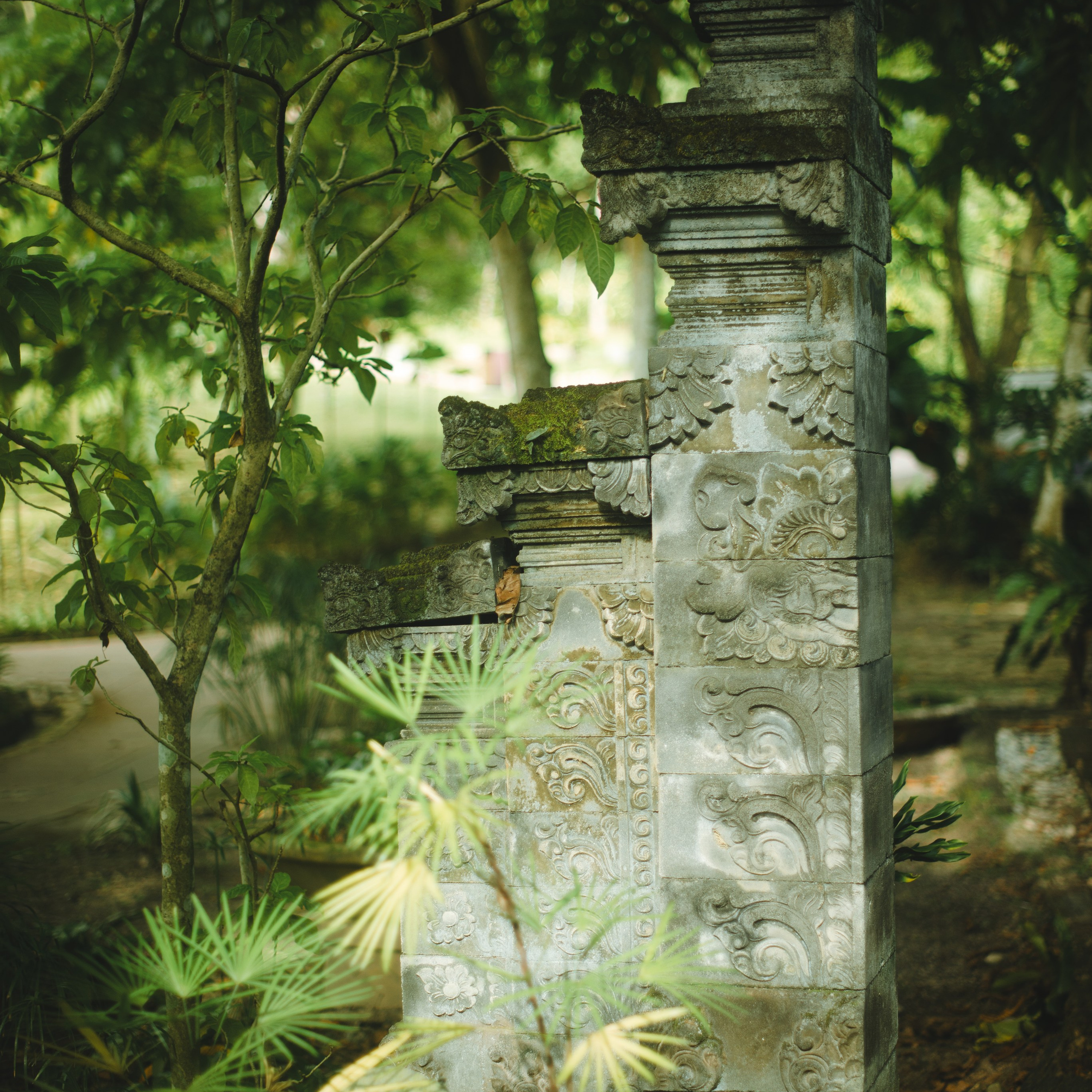 Ботанический сад • Perdana Botanical Gardens. Фотограф Катя Любина