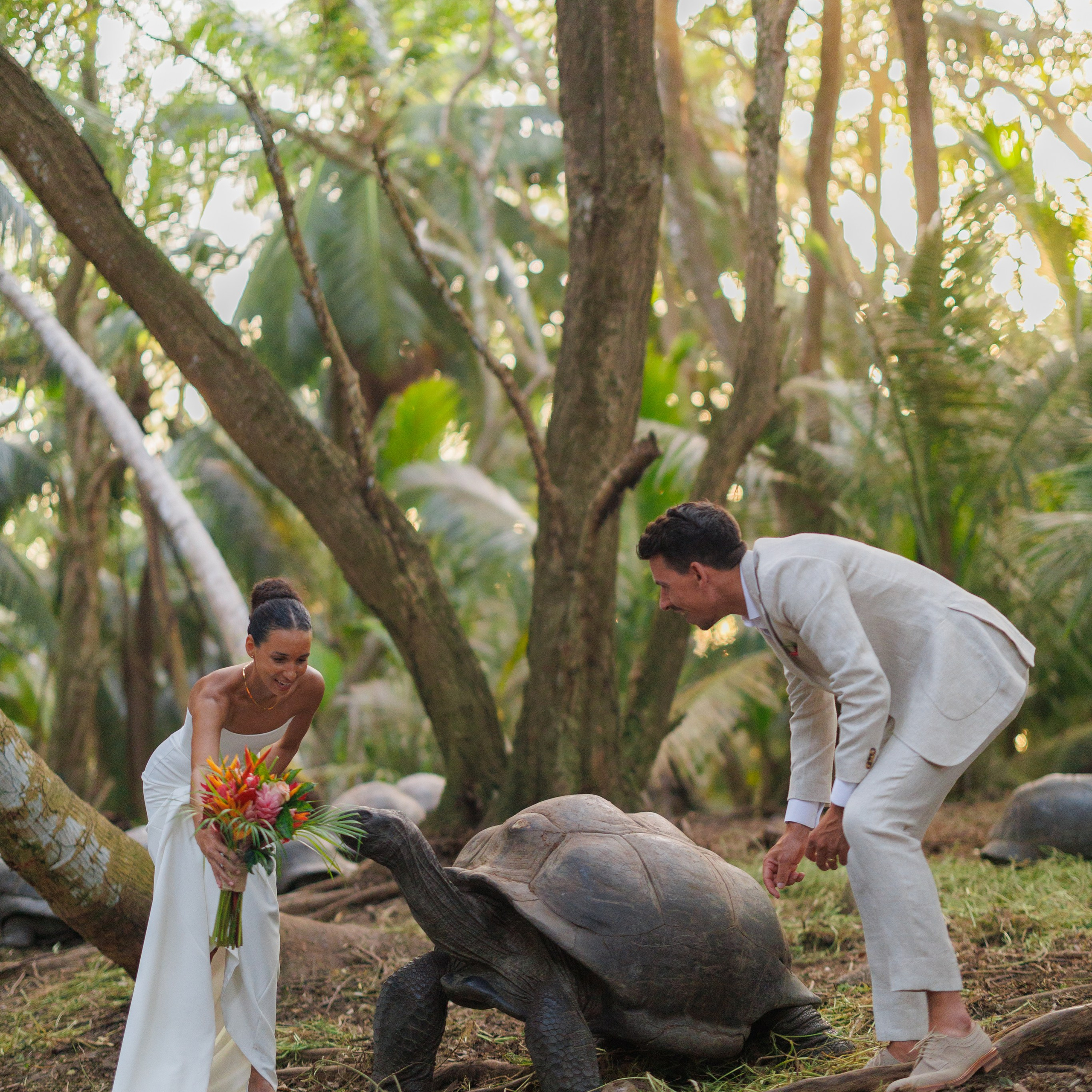 Елена Шиндина — Фотограф Сейшелы