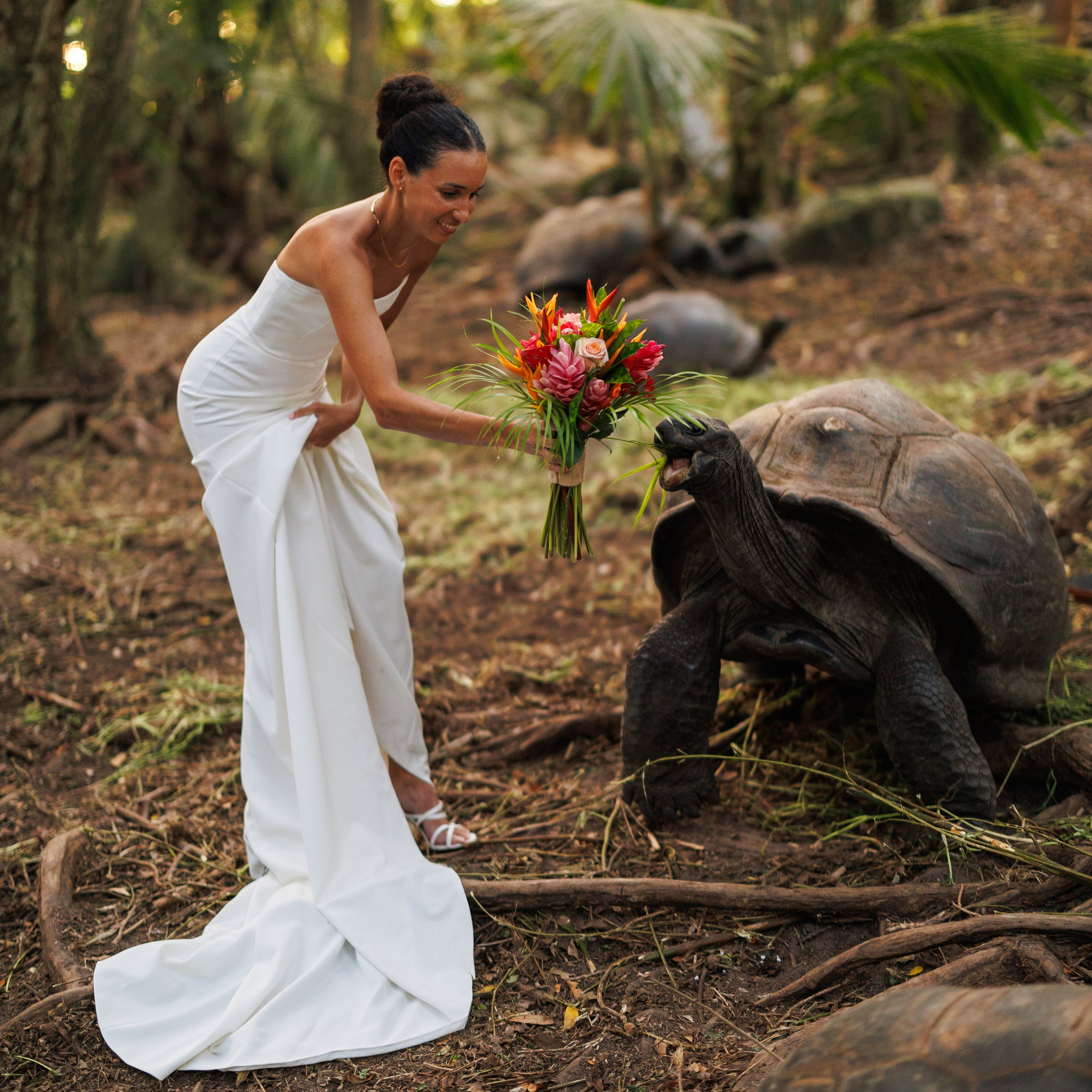 Елена Шиндина — Фотограф Сейшелы