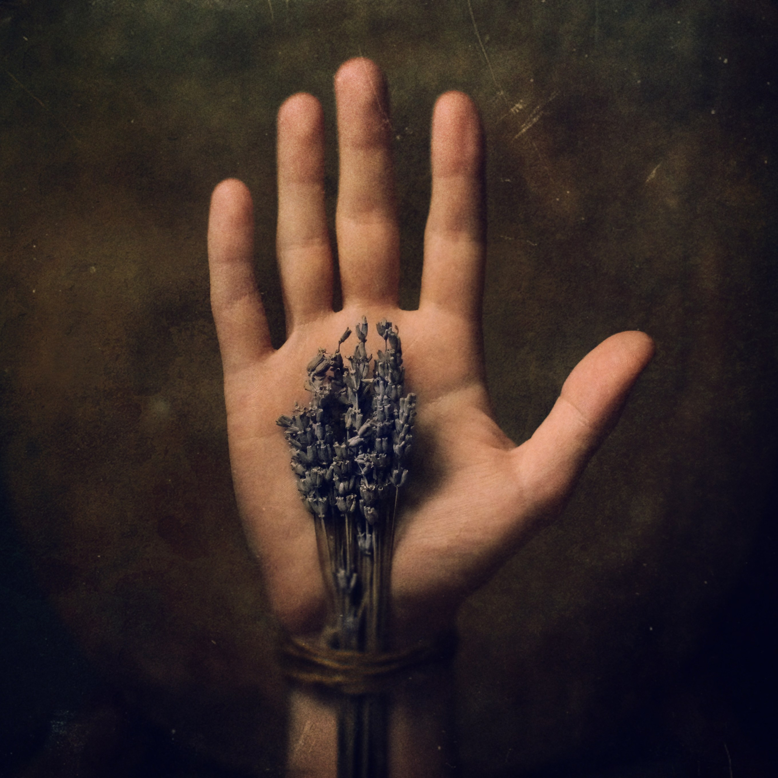 Проект 365. Креативный фотограф Стас Новиков