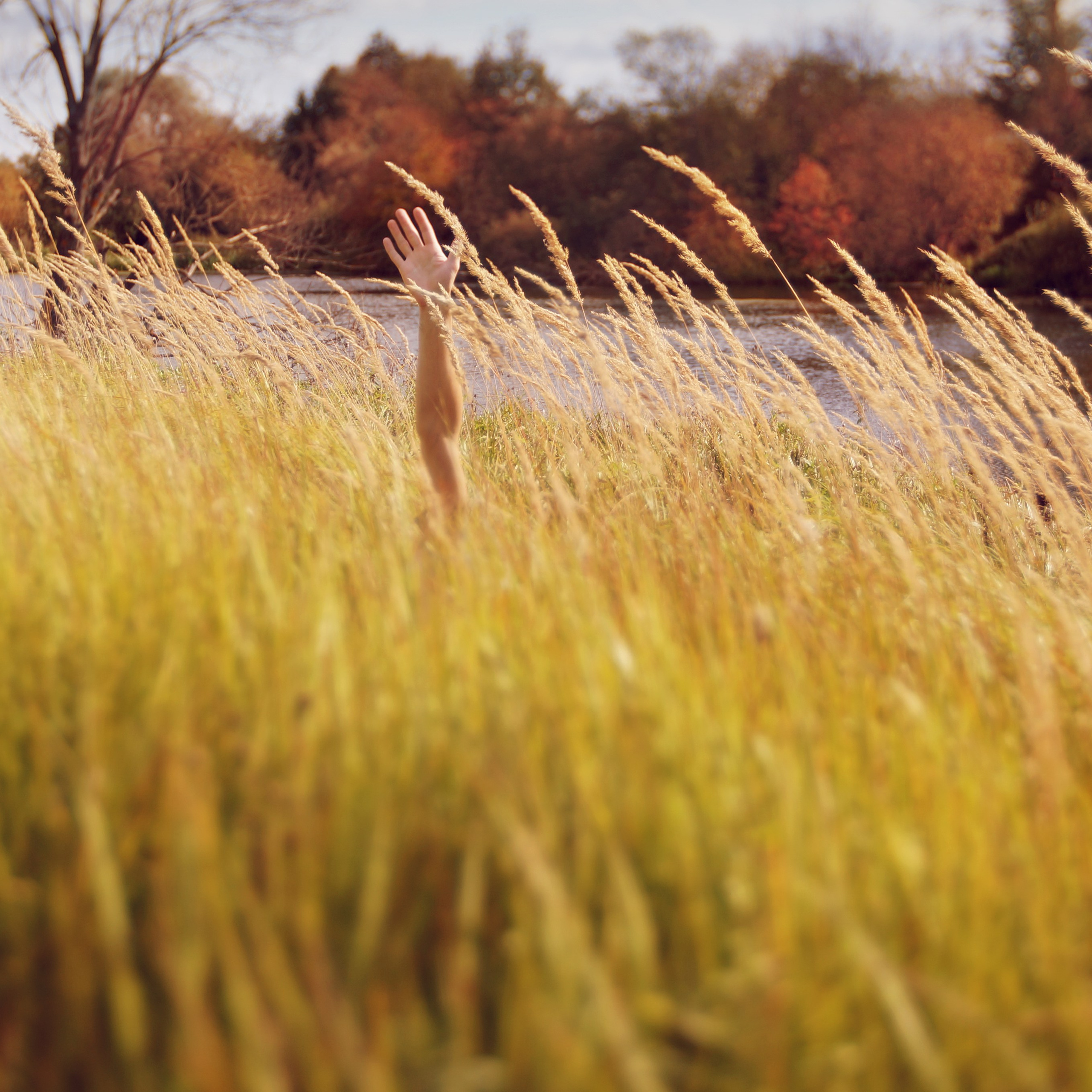Проект 365. Креативный фотограф Стас Новиков