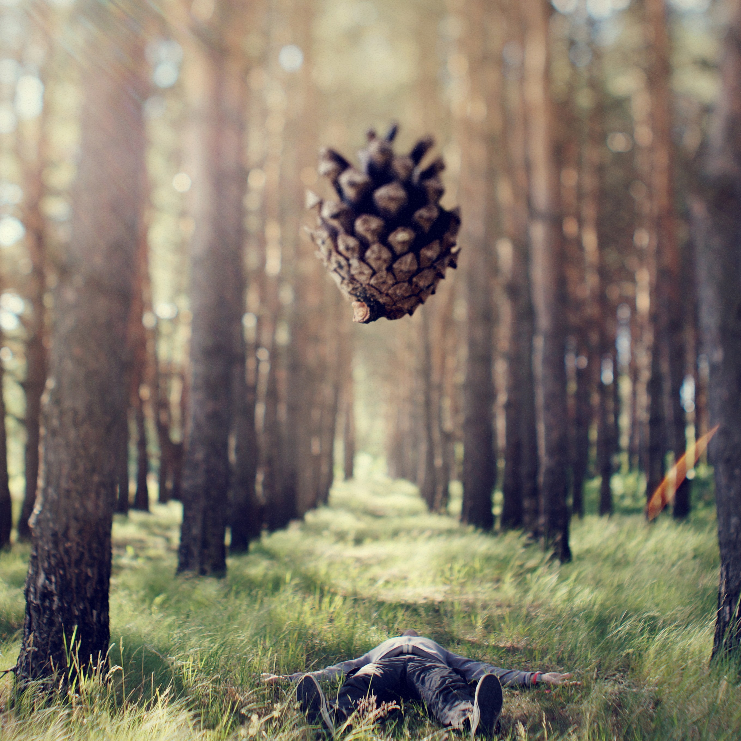 Проект 365. Креативный фотограф Стас Новиков