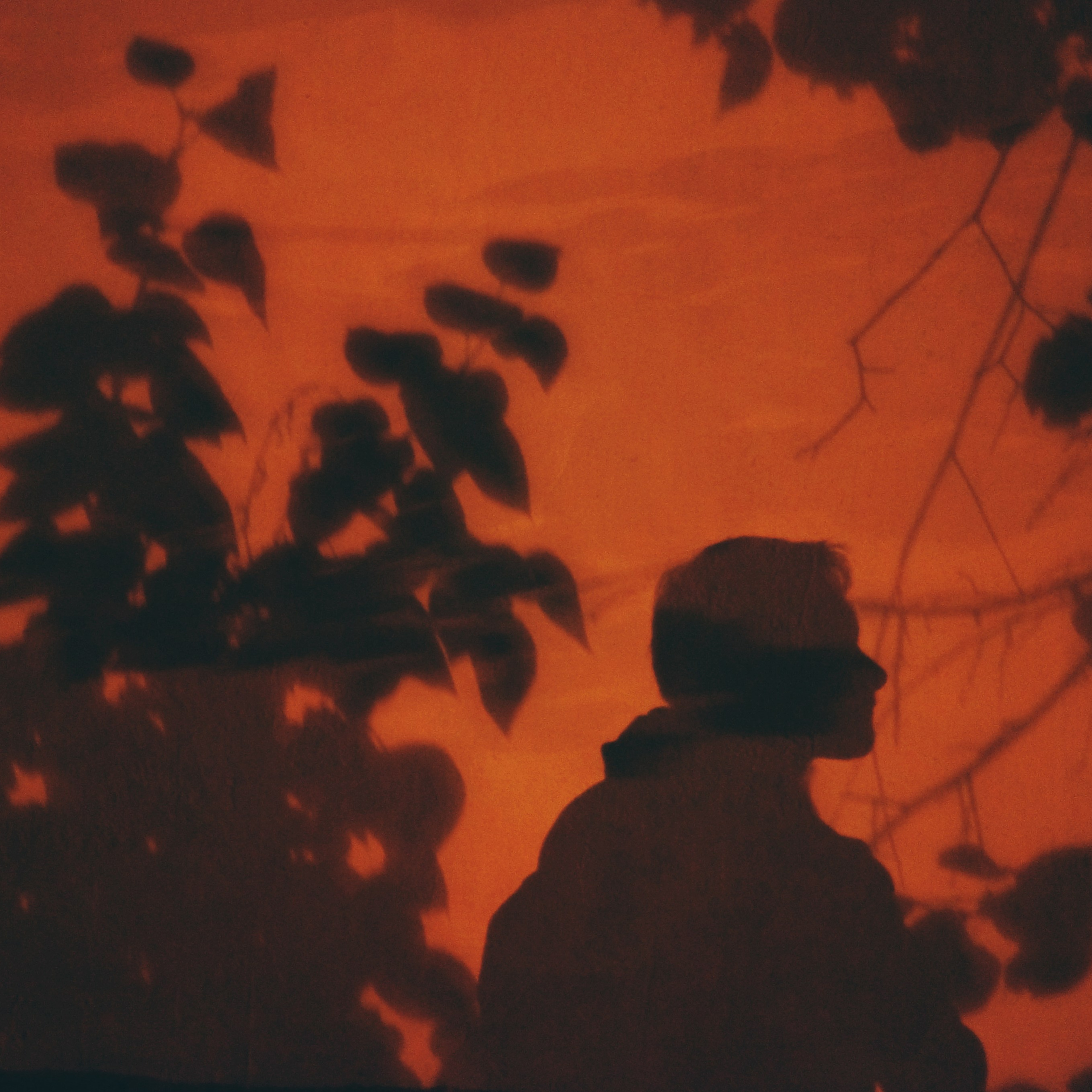 Проект 365. Креативный фотограф Стас Новиков