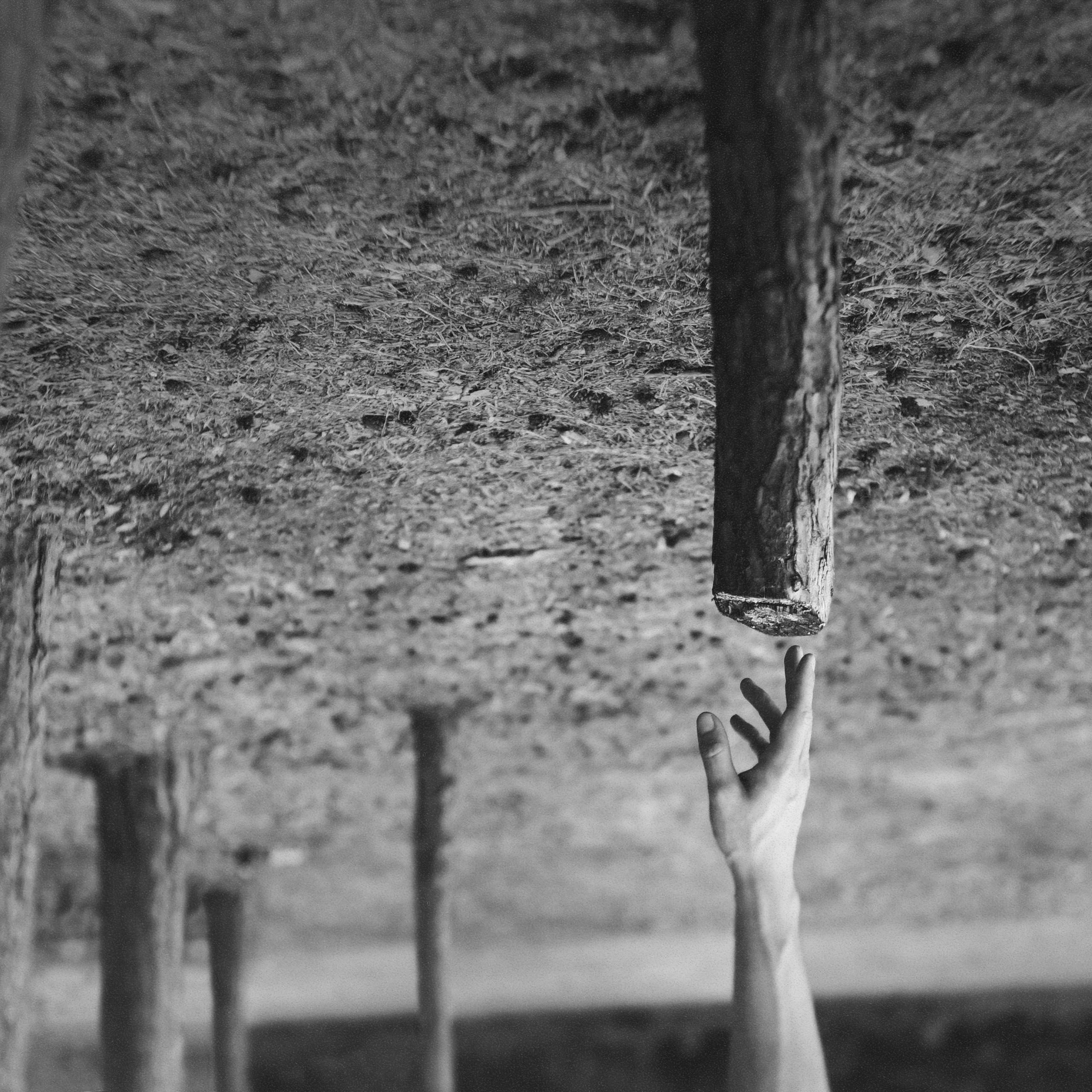 Проект 365. Креативный фотограф Стас Новиков