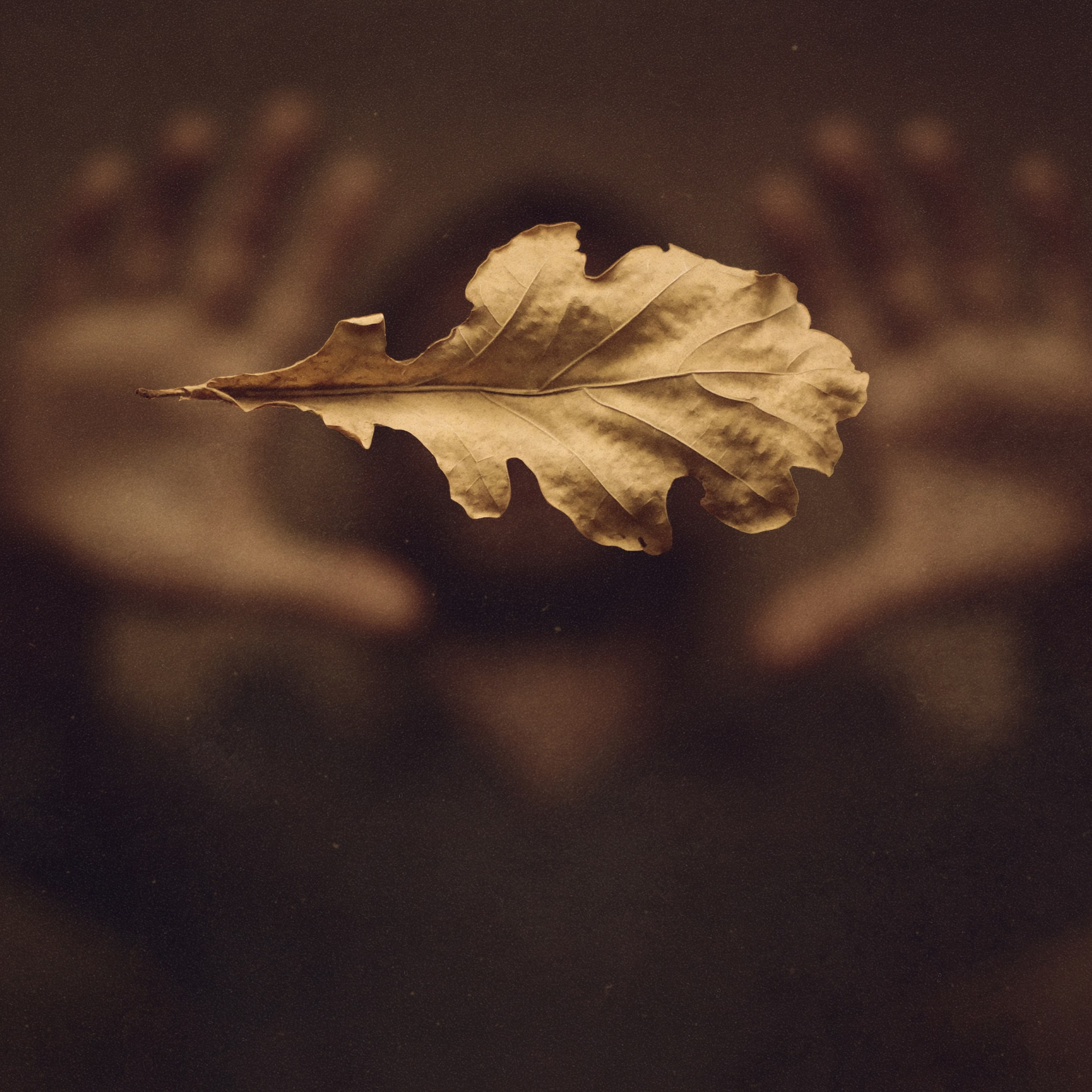 Проект 365. Креативный фотограф Стас Новиков