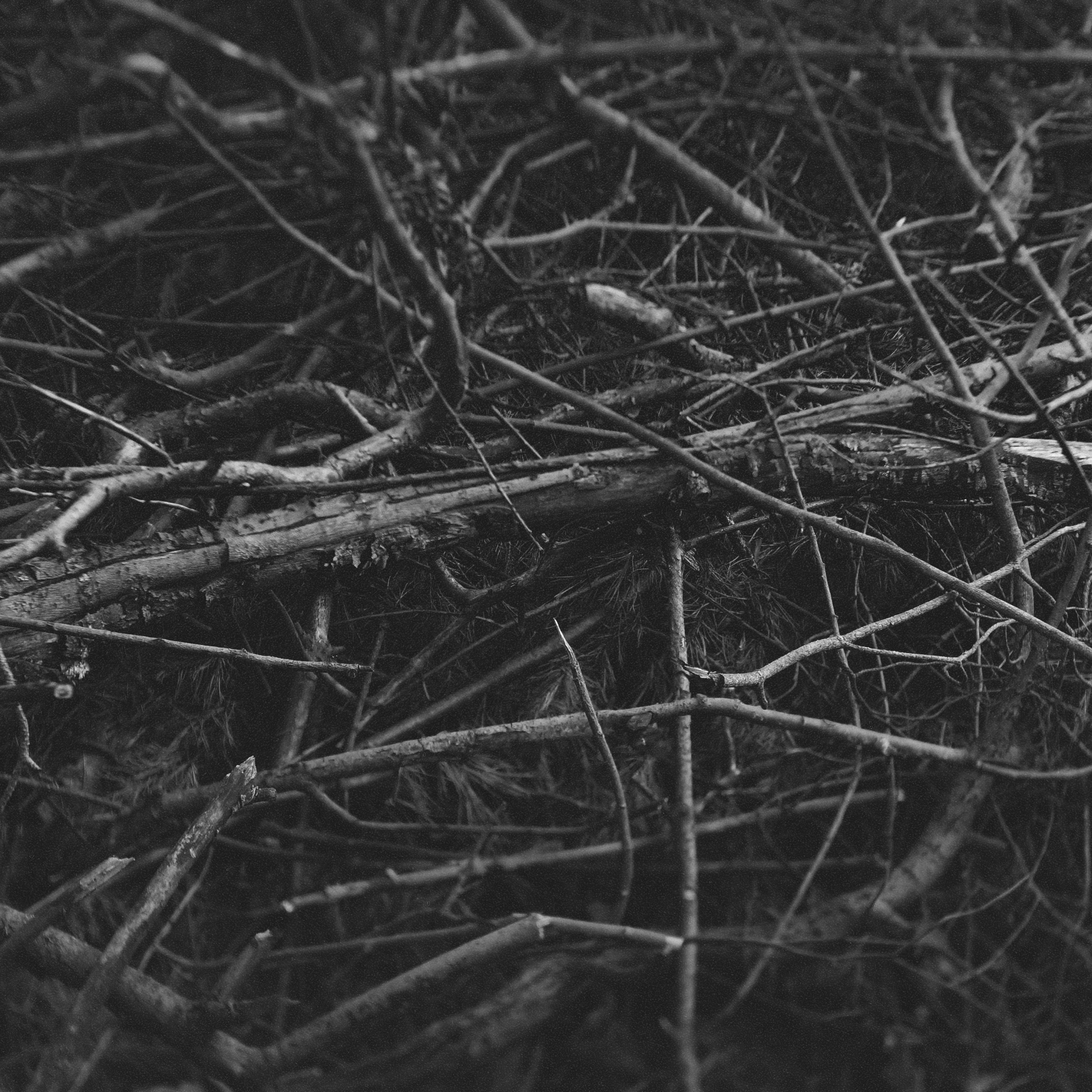 Проект 365. Креативный фотограф Стас Новиков