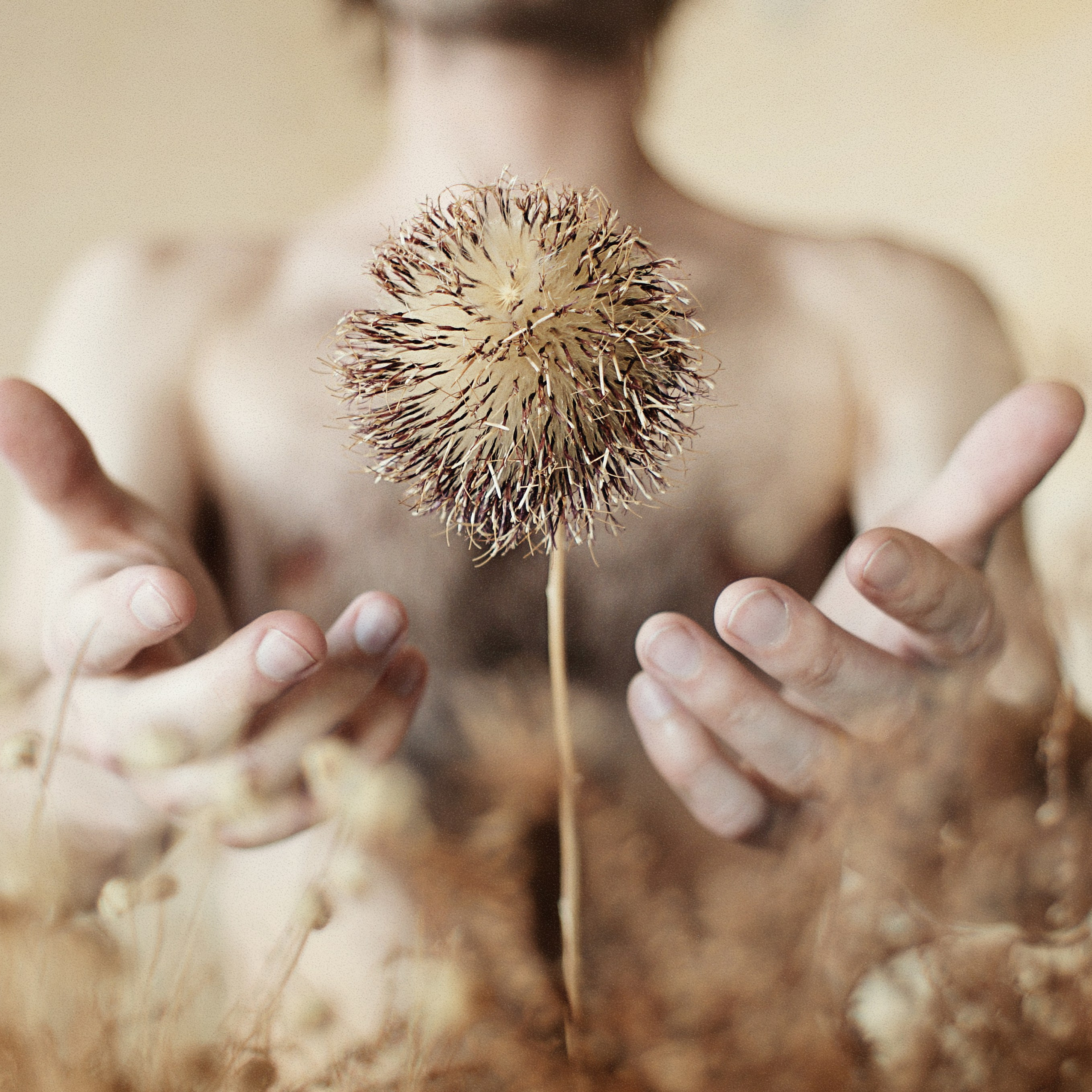 Проект 365. Креативный фотограф Стас Новиков