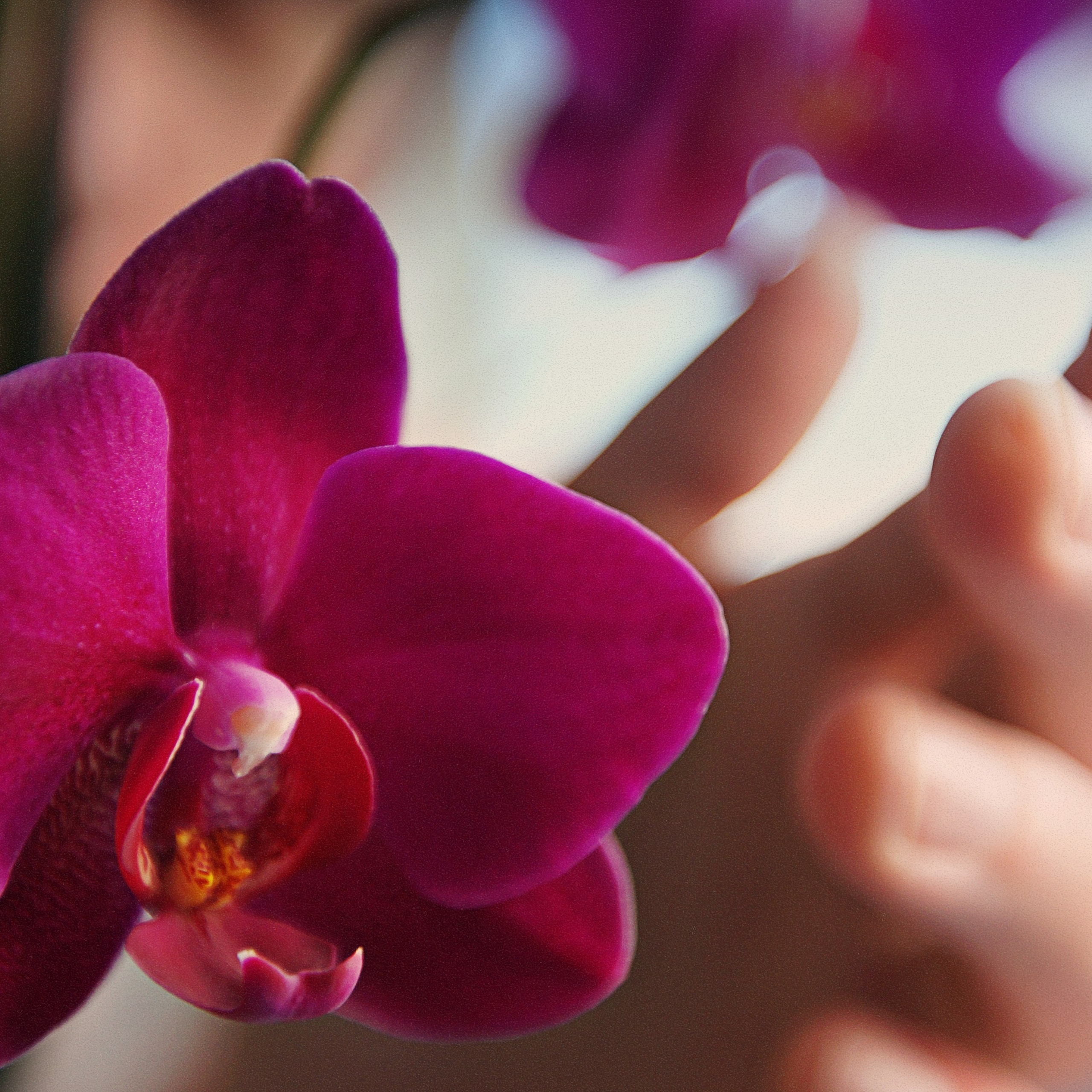 Проект 365. Креативный фотограф Стас Новиков