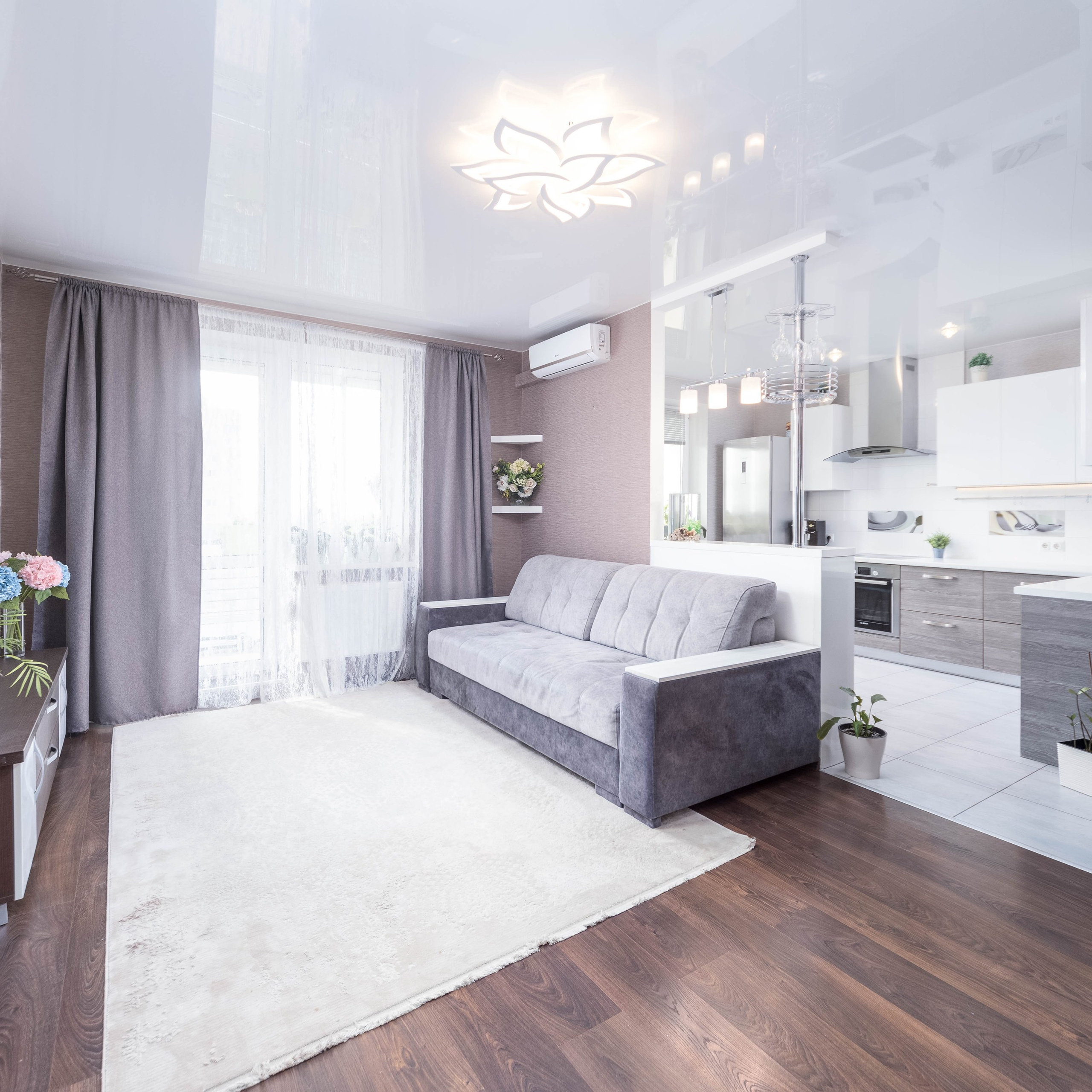 Студия на проспекте Дзержинского 119