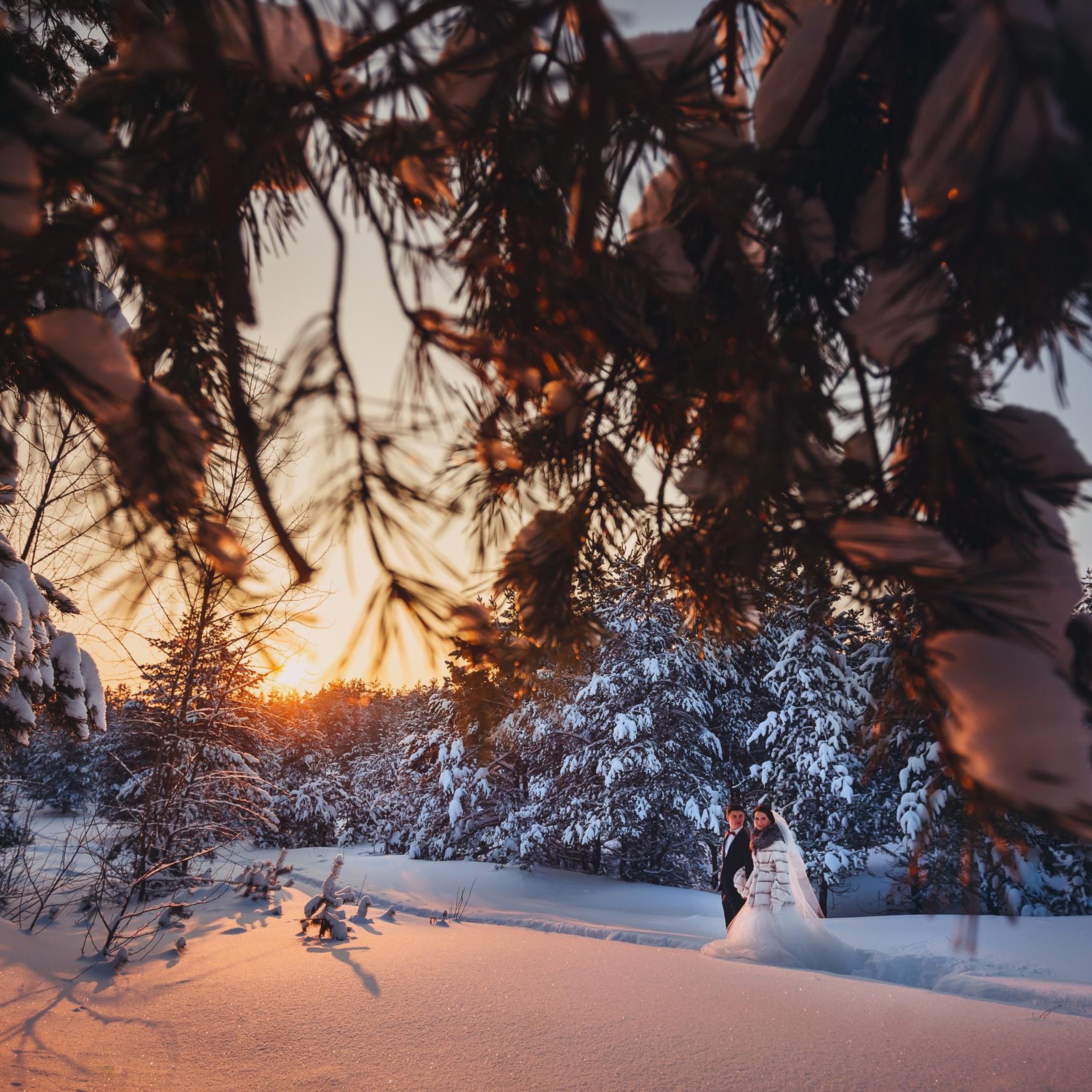 Wedding, romantic photo, family holidays. Workshops