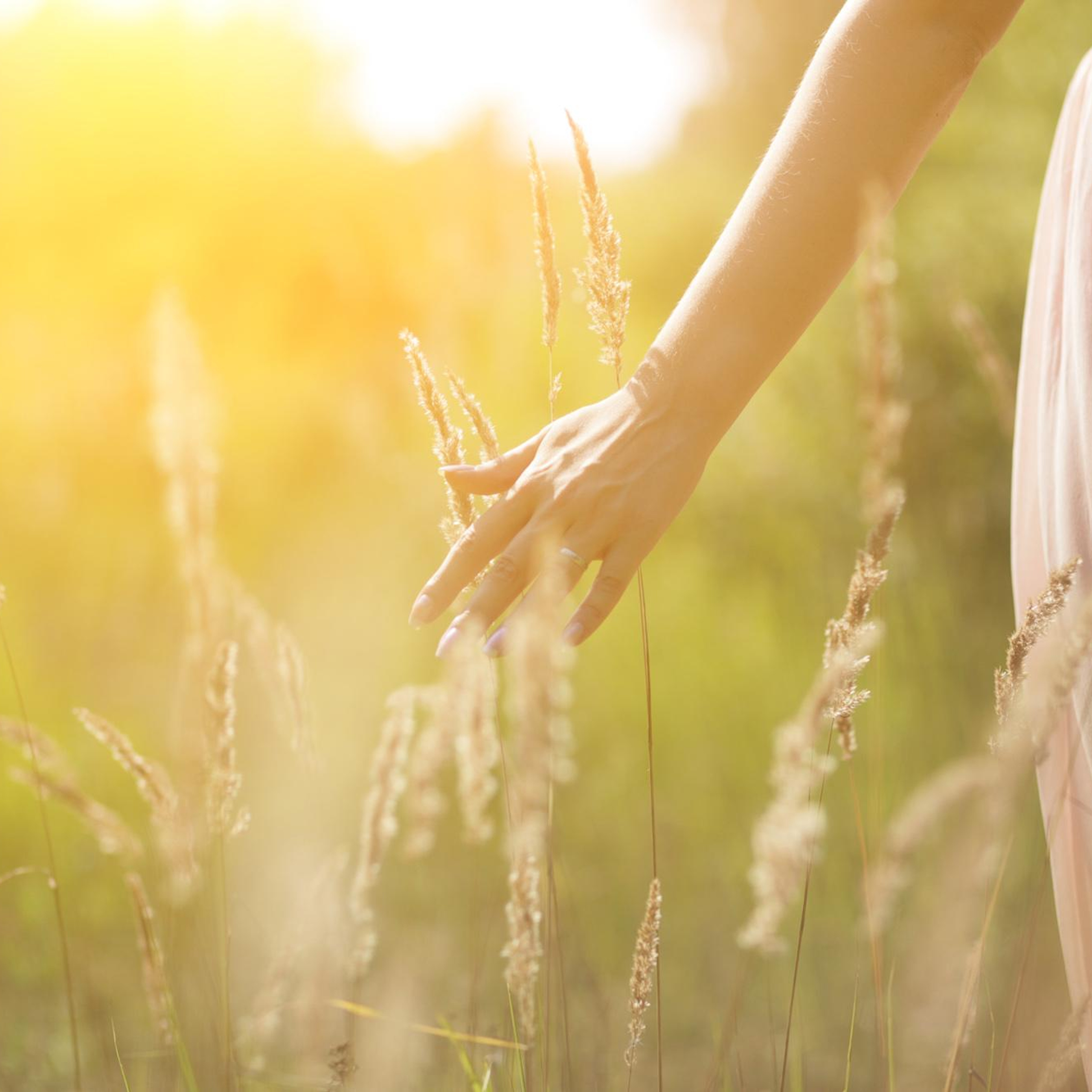 Wedding, romantic photo, family holidays. Workshops