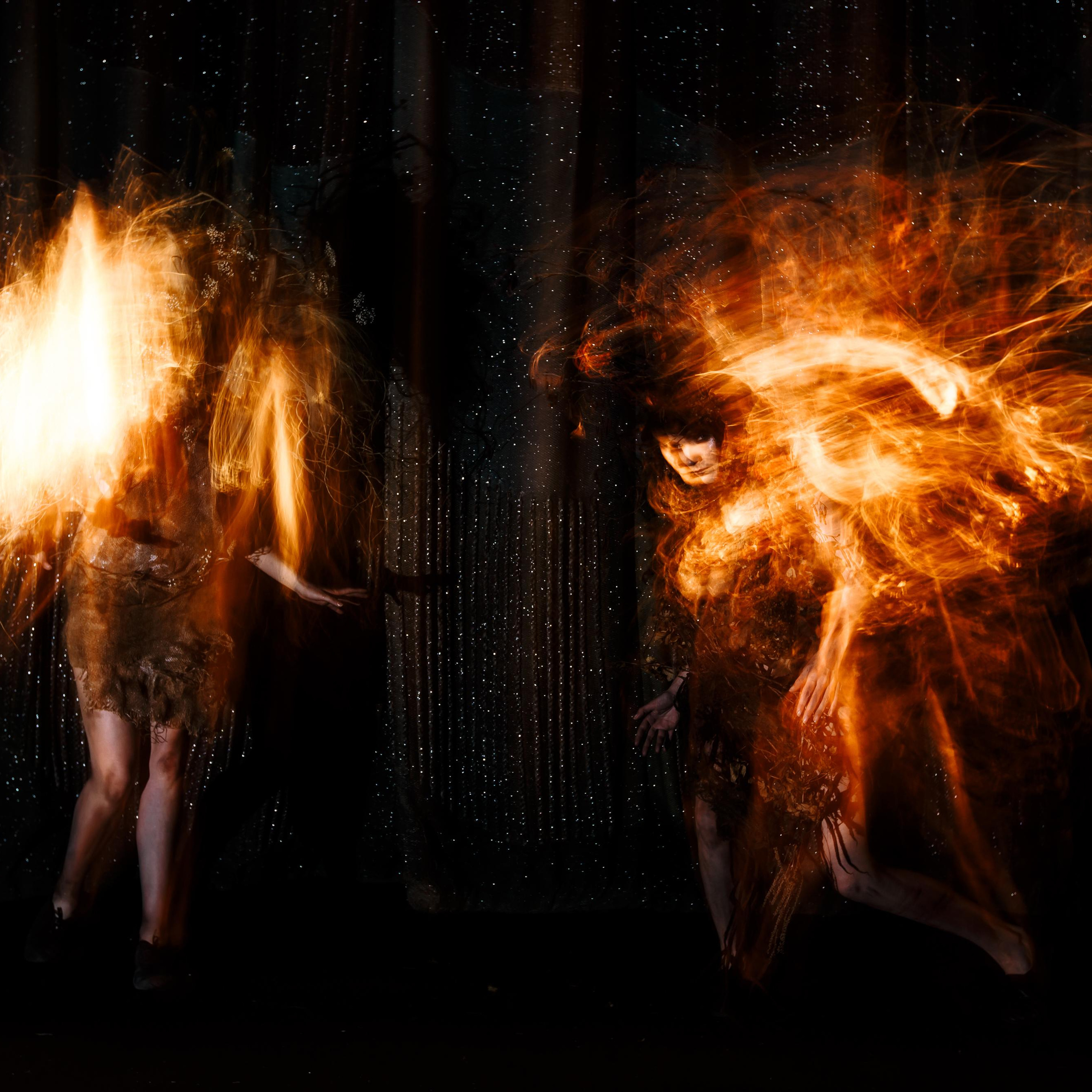 Wedding, romantic photo, family holidays. Workshops