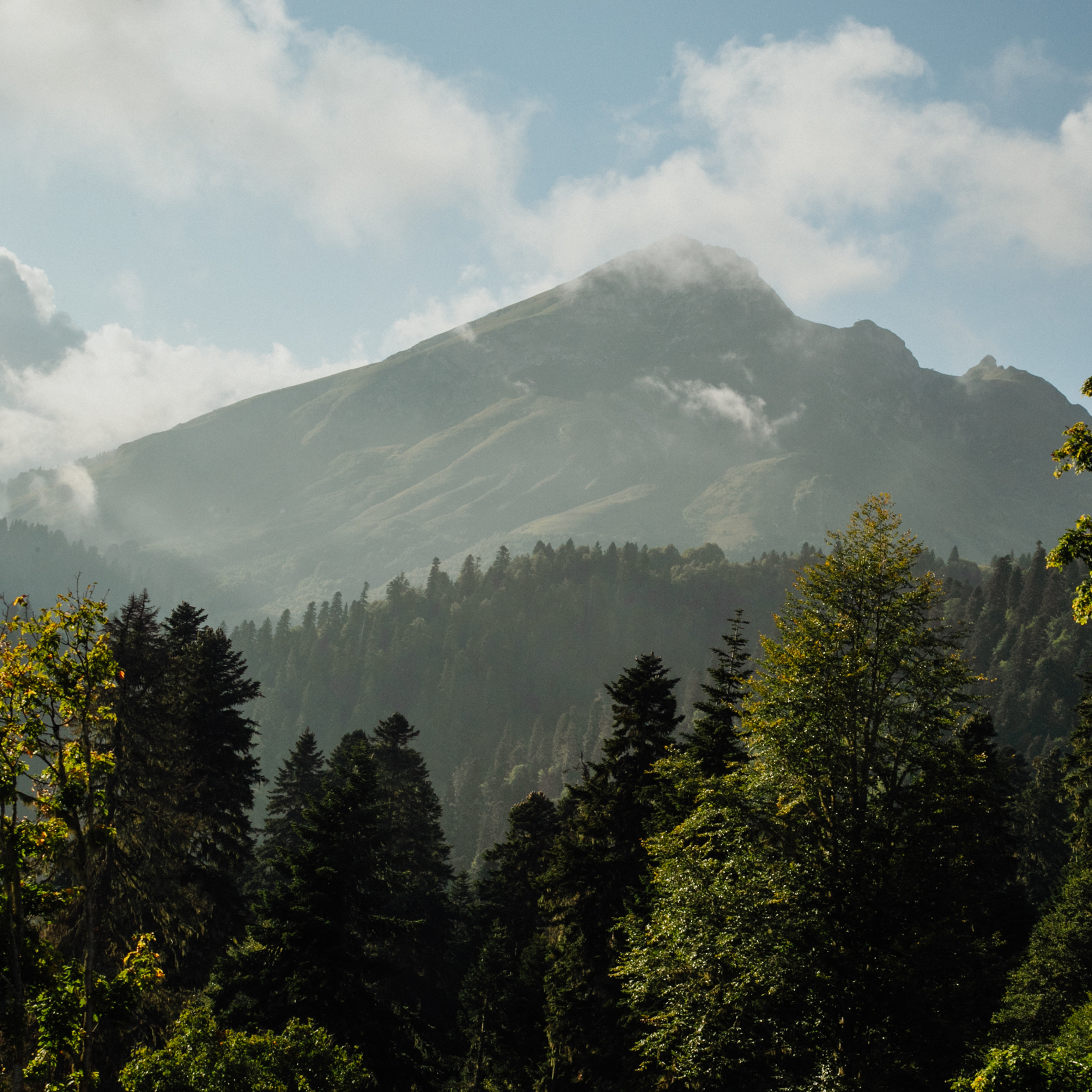 Заставки на телефон. Сочи (Роза Хутор)+Абхазия. Свадебный и репортажный фотограф Новороссийск Краснодар Сочи Крым Данила Данилов