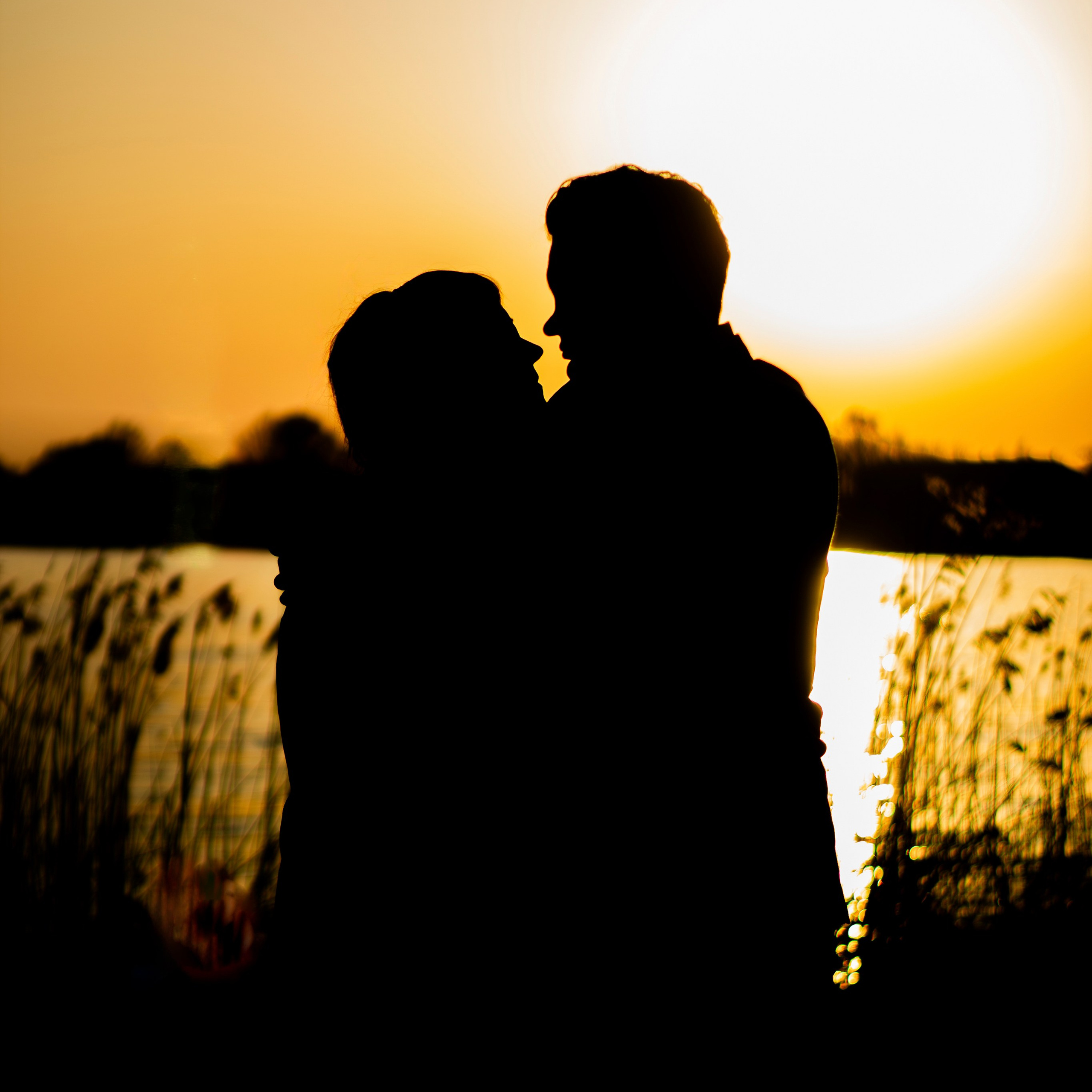 Истории. Свадебный и семейный фотограф Бологое Тверь — Ninel