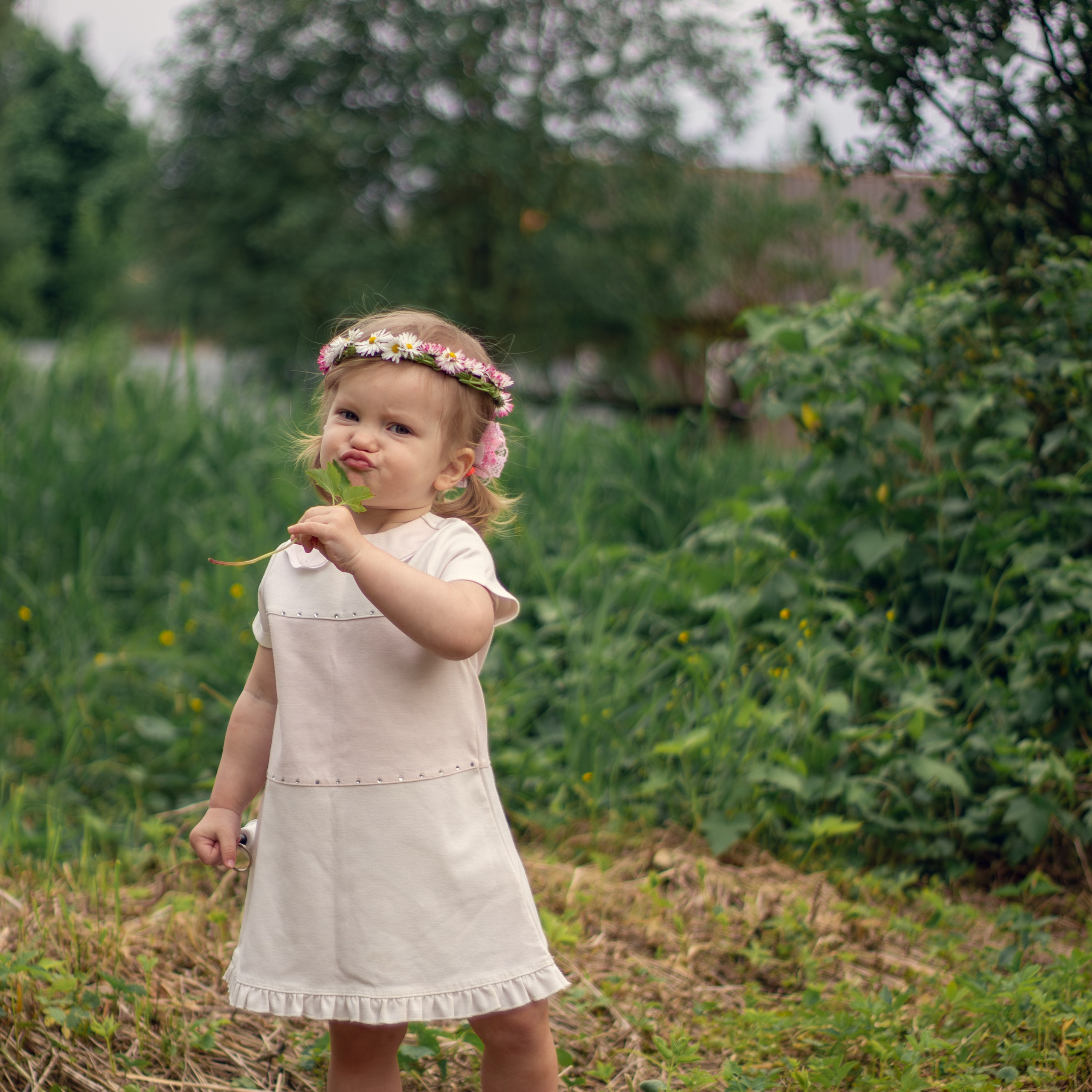 Истории. Свадебный и семейный фотограф Бологое Тверь — Ninel