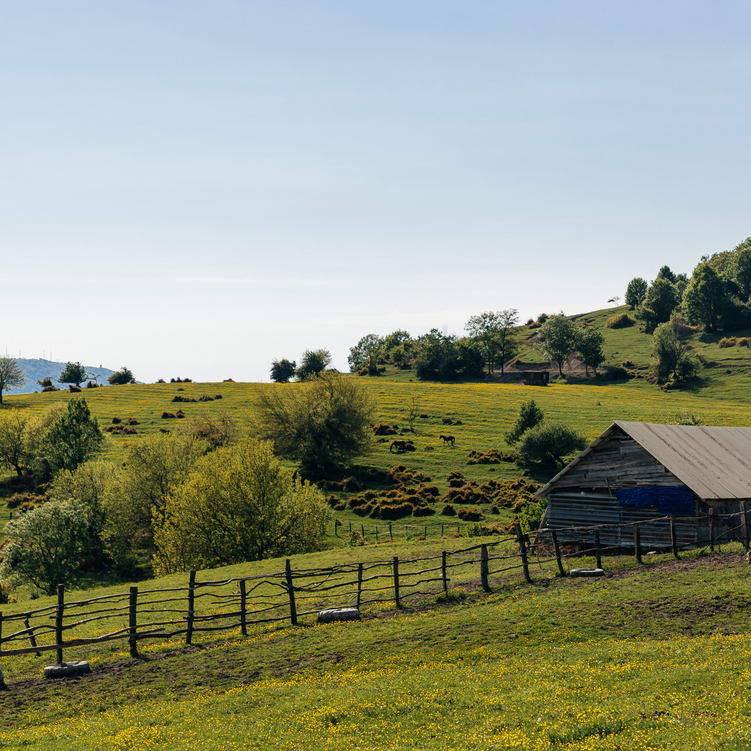 Ферма каньон Сочи