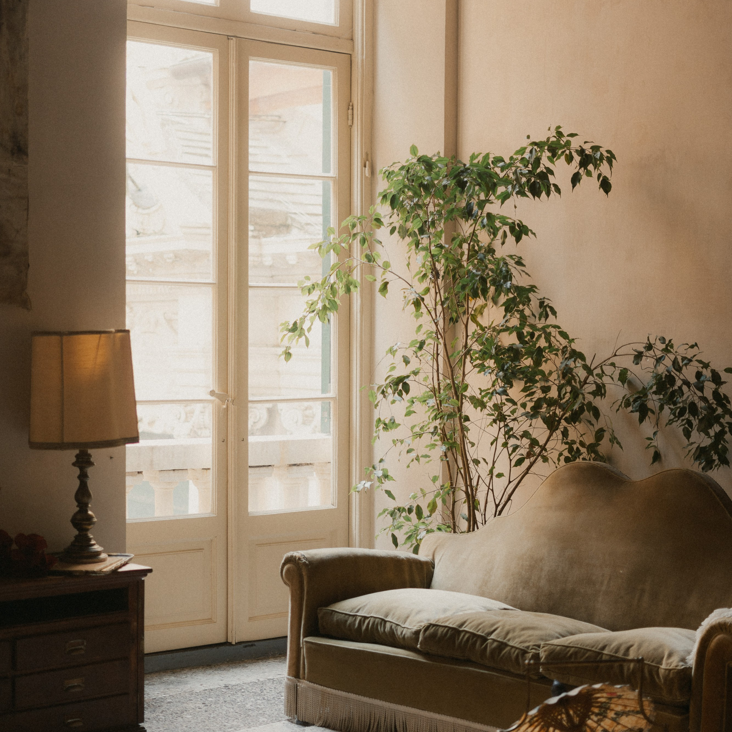 Dimora Almayer | Genoa