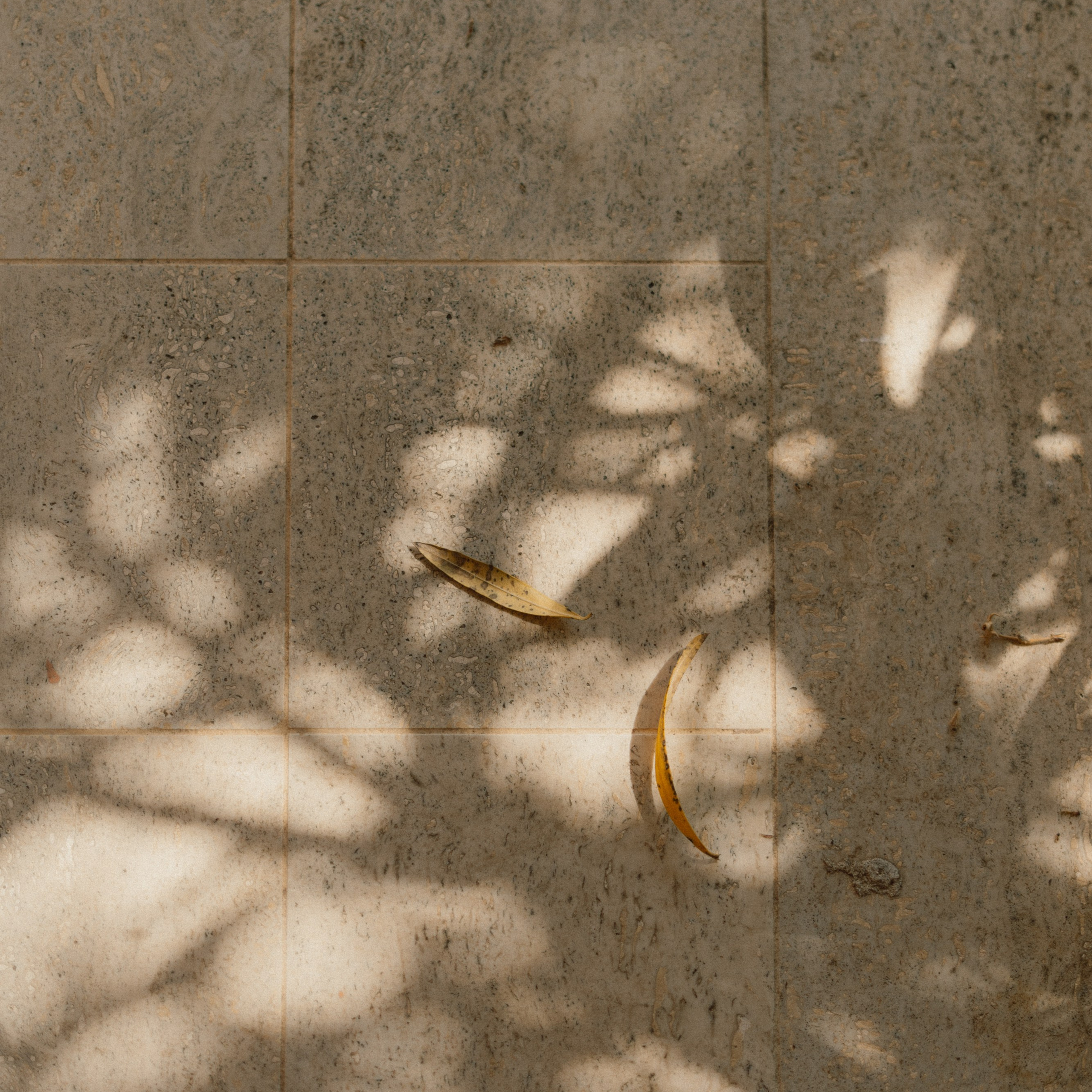 Relais Villa Isabel | Pietrasanta