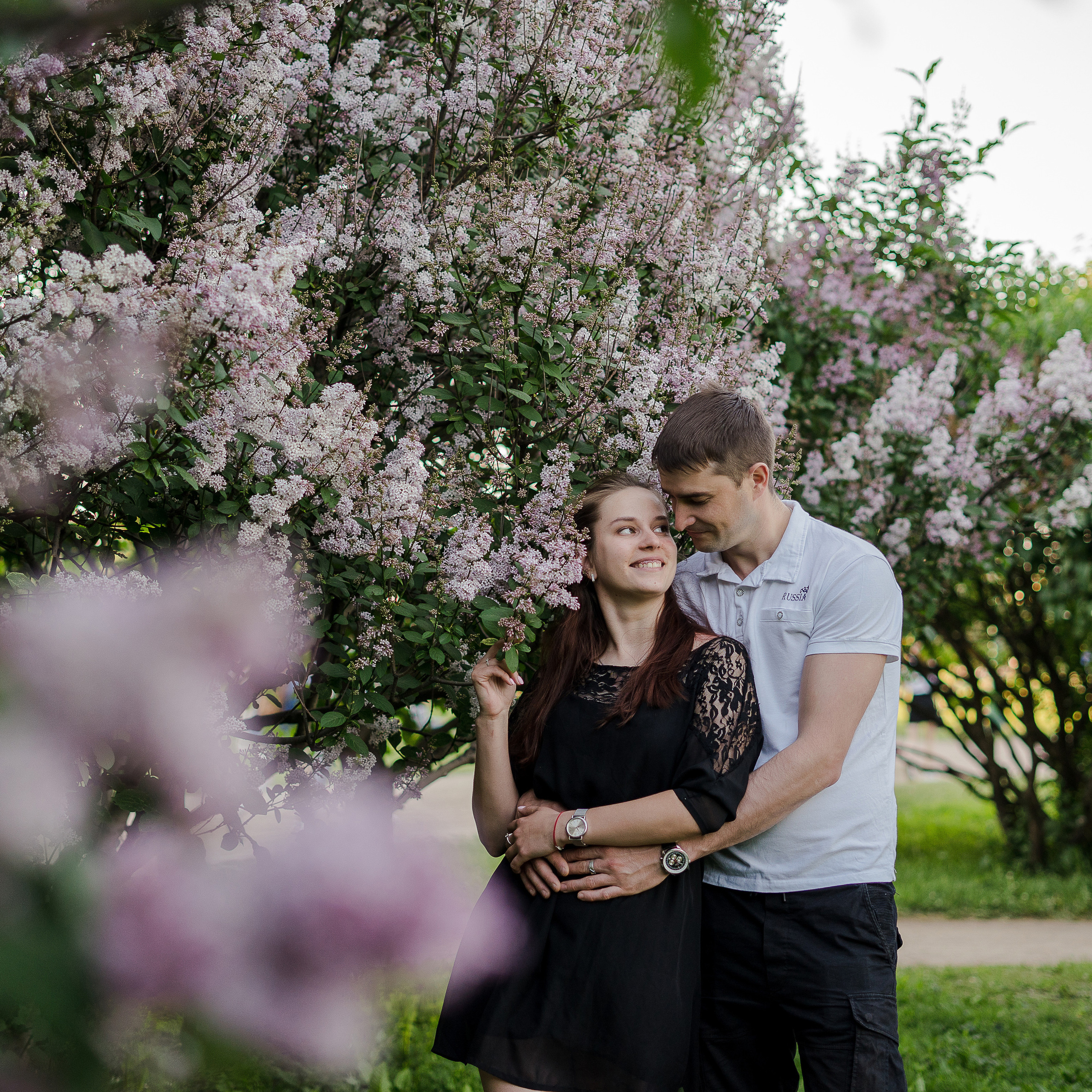 Аромат сирени
