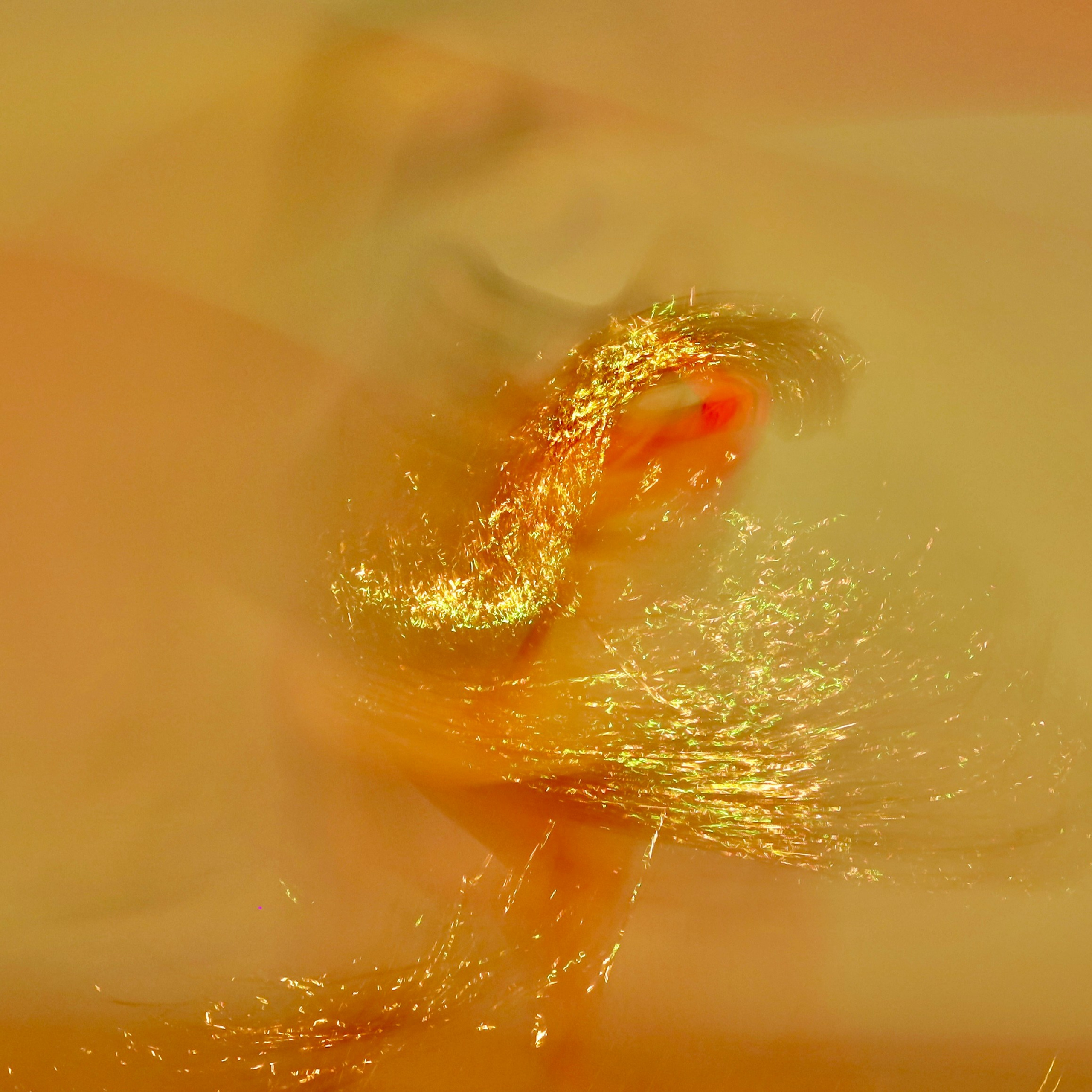 Ширяева Ольга