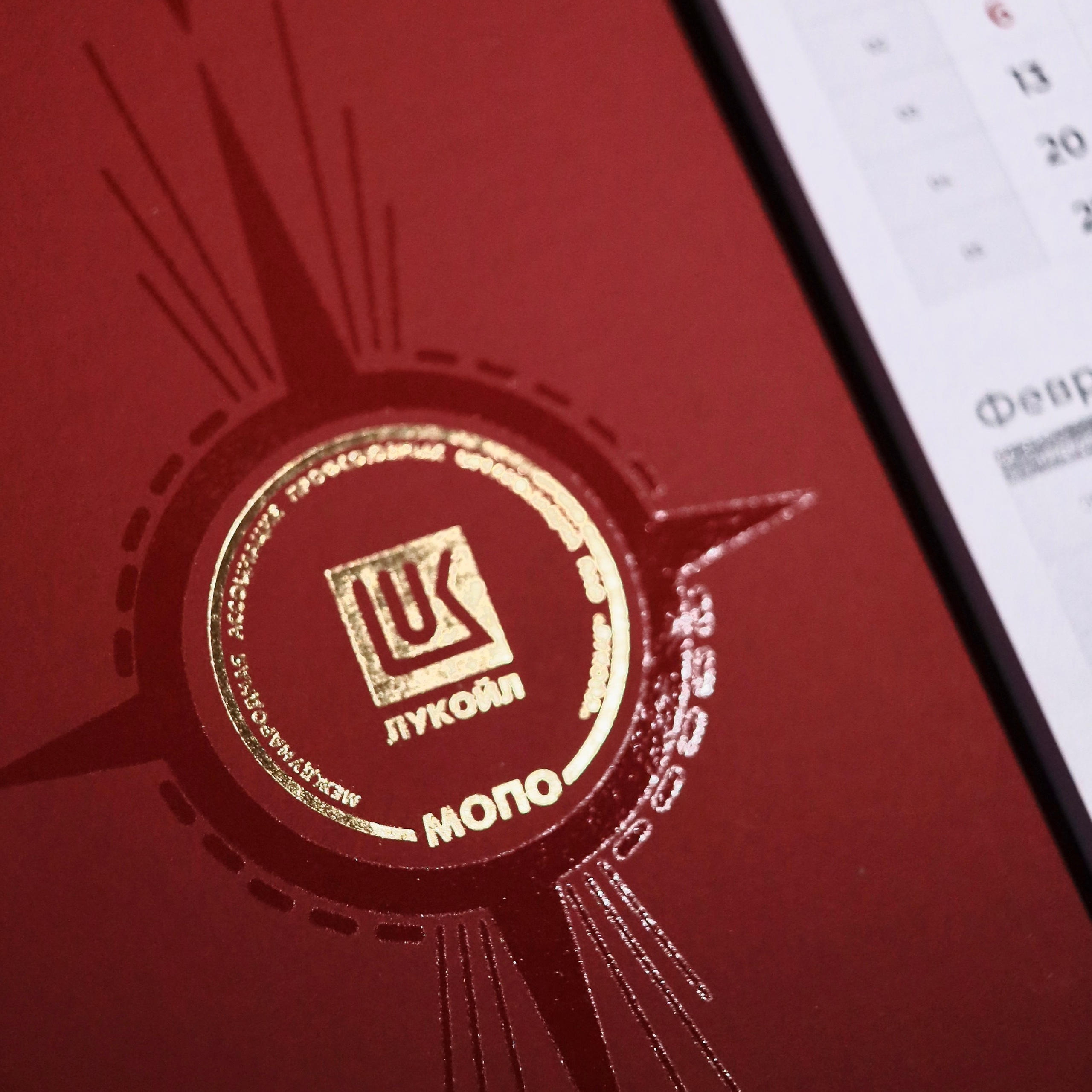 Коммерческие проекты. Ширяева Ольга