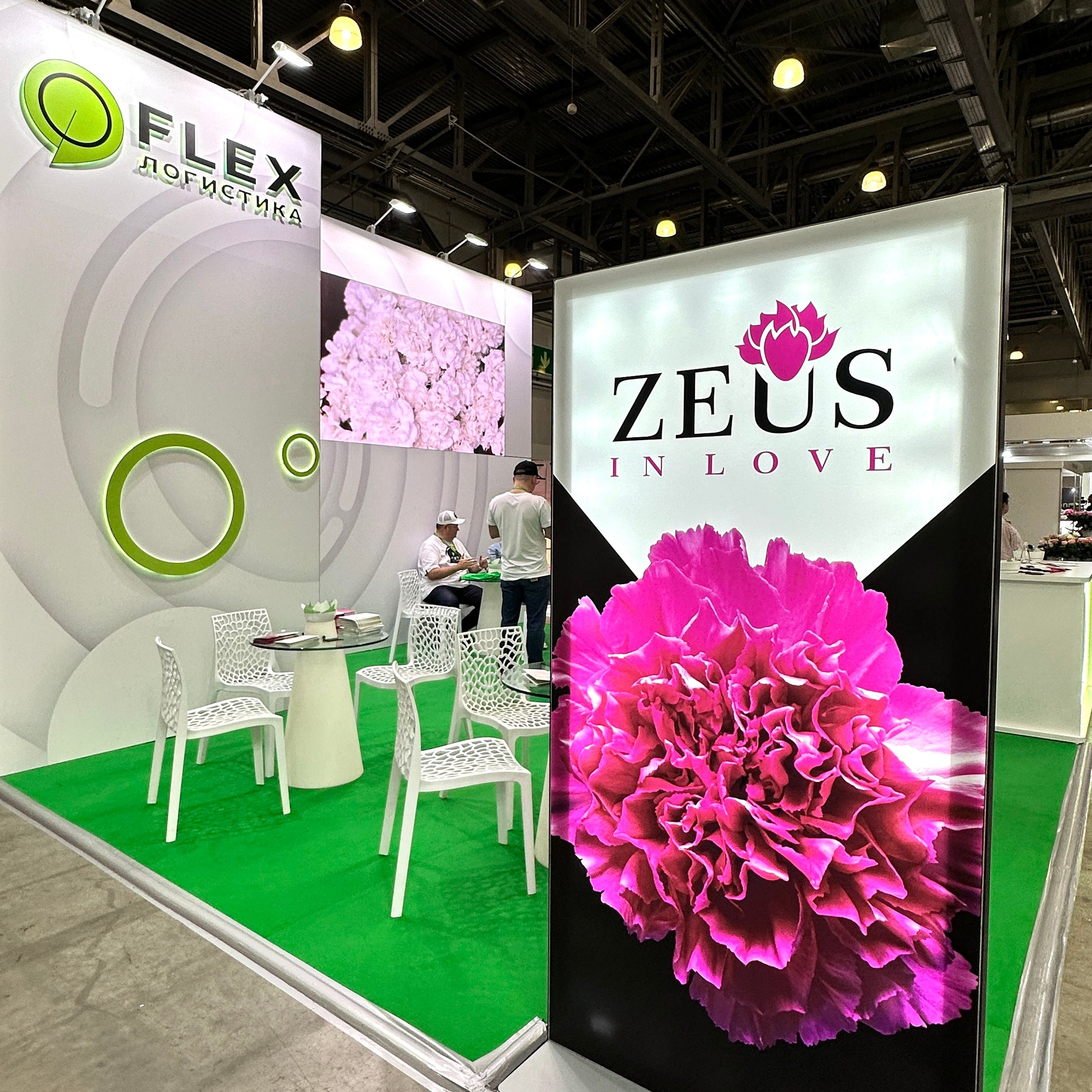 Коммерческие проекты. Ширяева Ольга