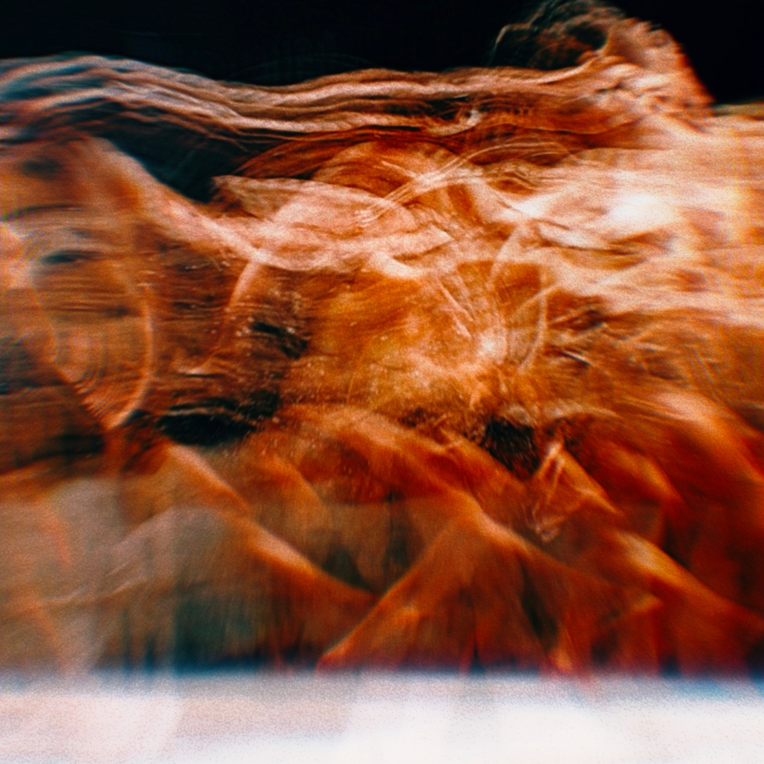 Ширяева Ольга