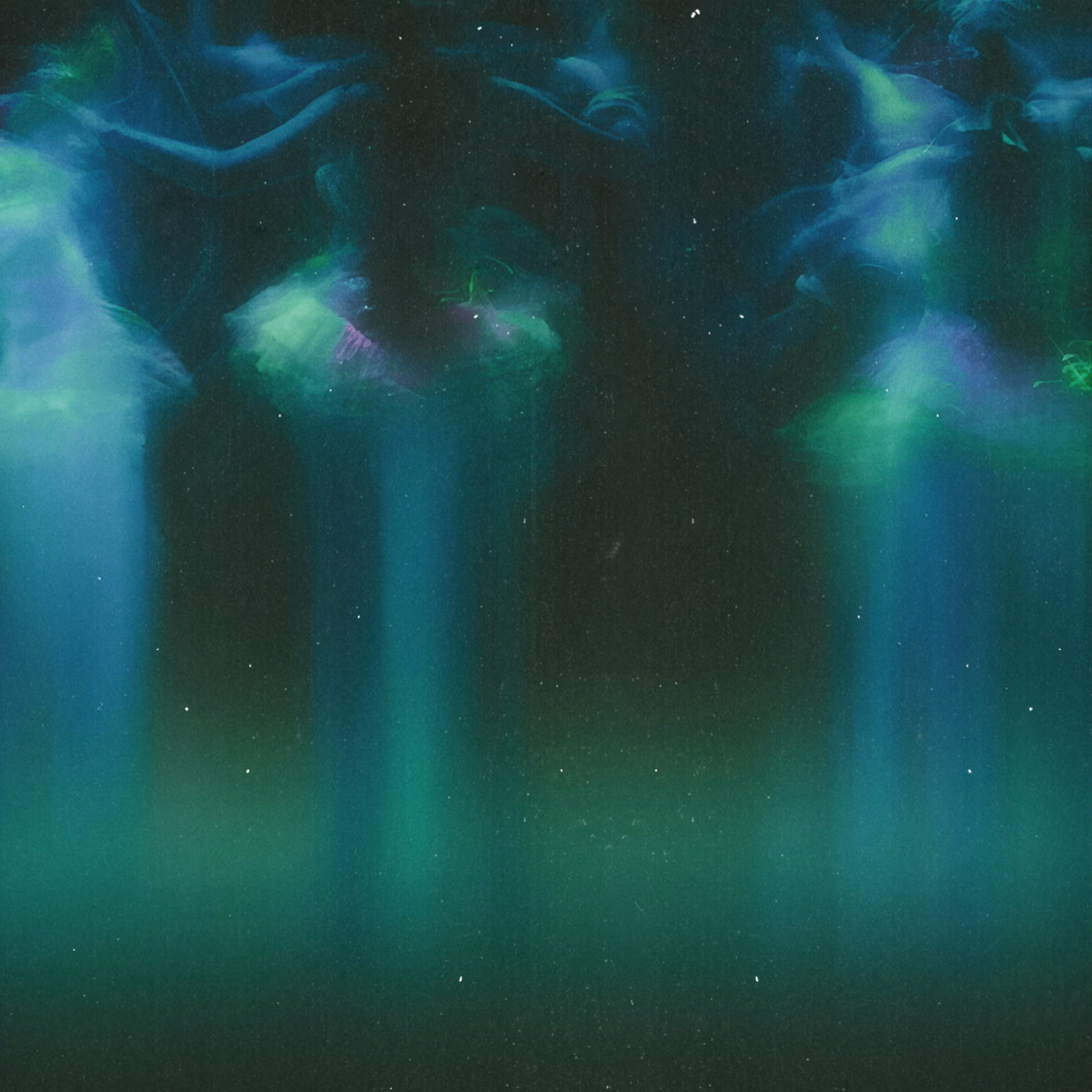 Ширяева Ольга