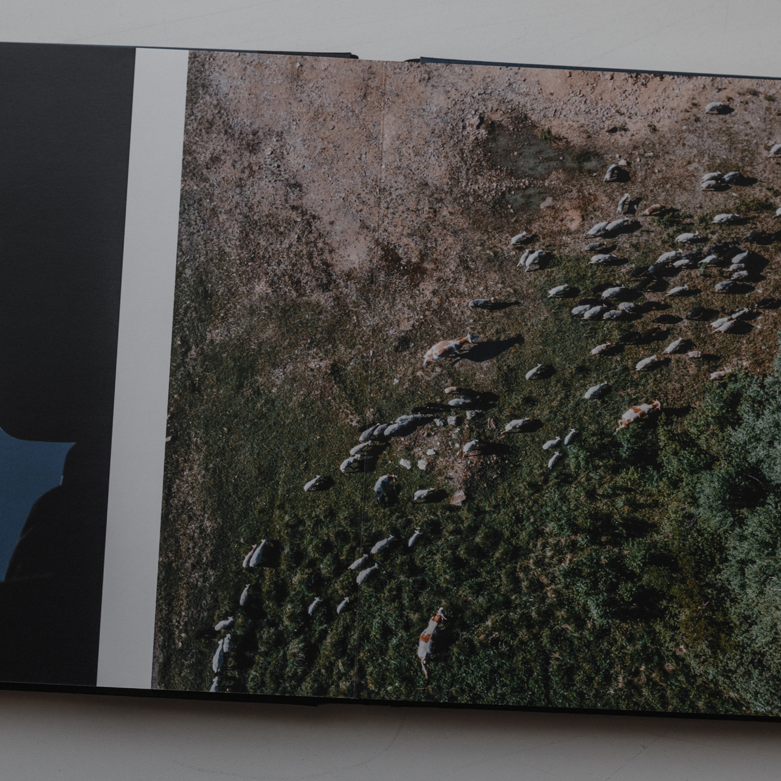 Сколько золота?. Антон Айрис | Anton Iris — стильно сниму твою свадьбу и депрессию