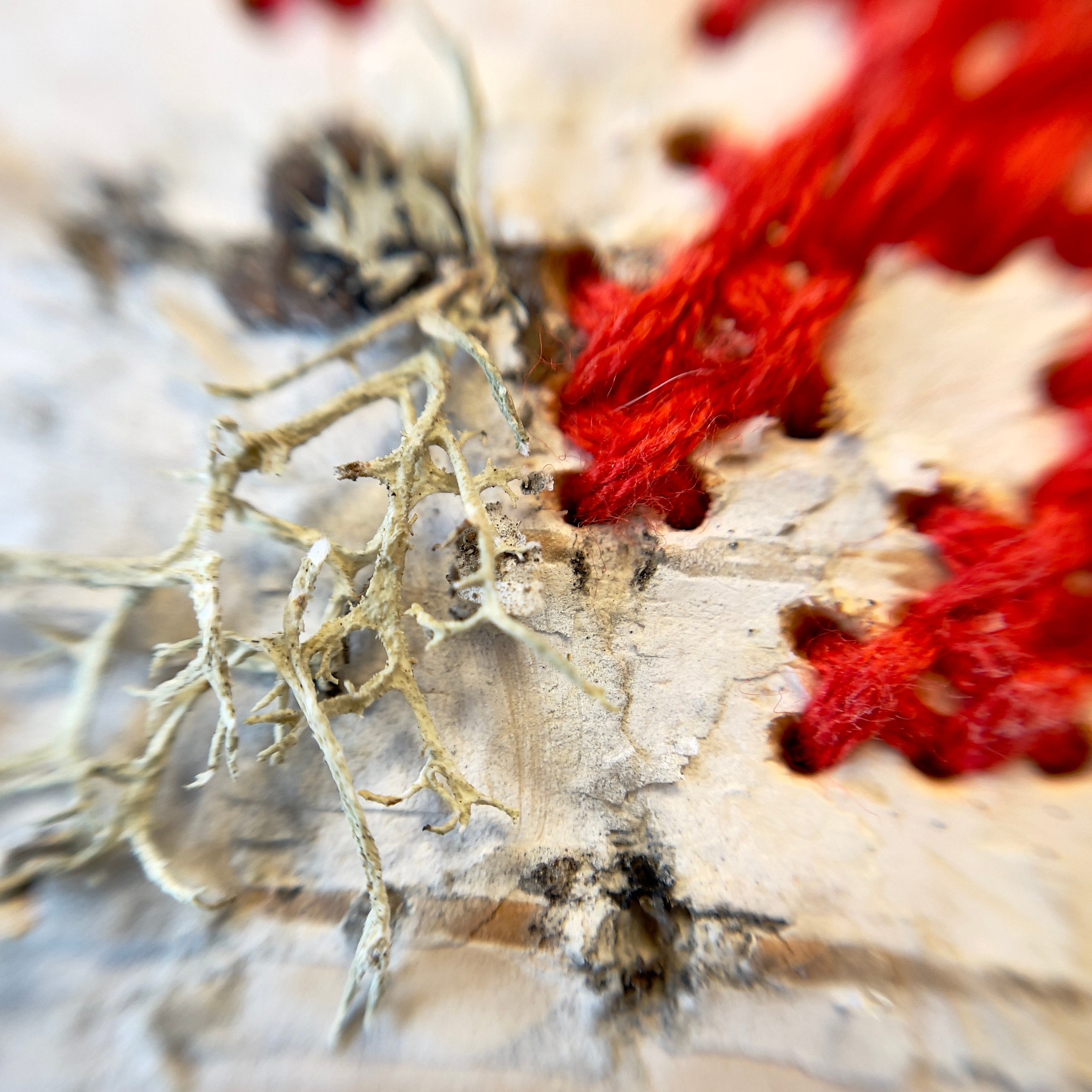 Codes of Eternity — Ornamental Metamorphosis of Values. Sasha Malysheva ● Contemporary artist