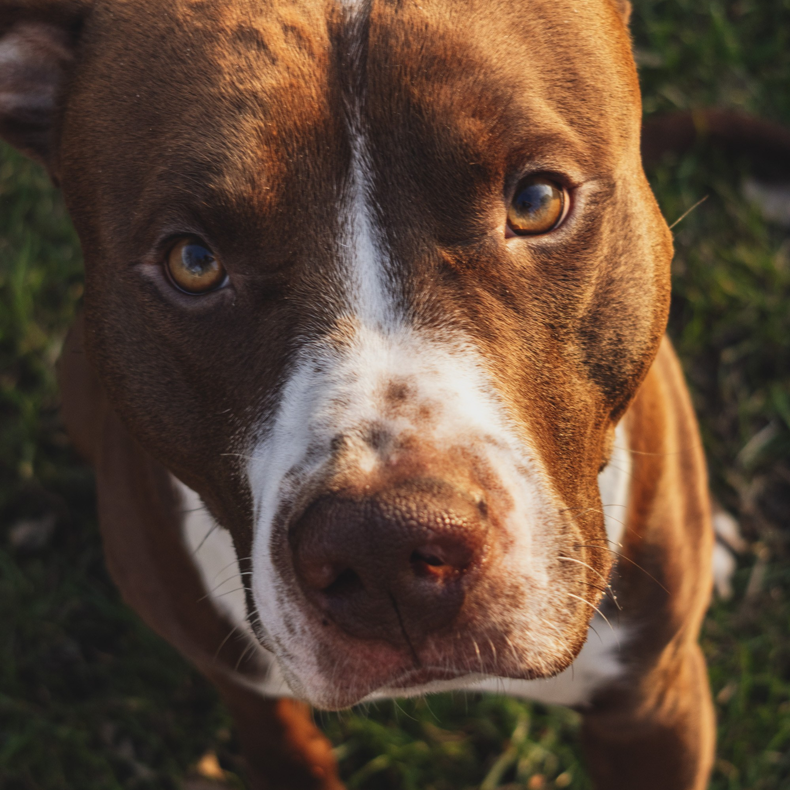 Репортажный фотограф Кирилл Бартенев
