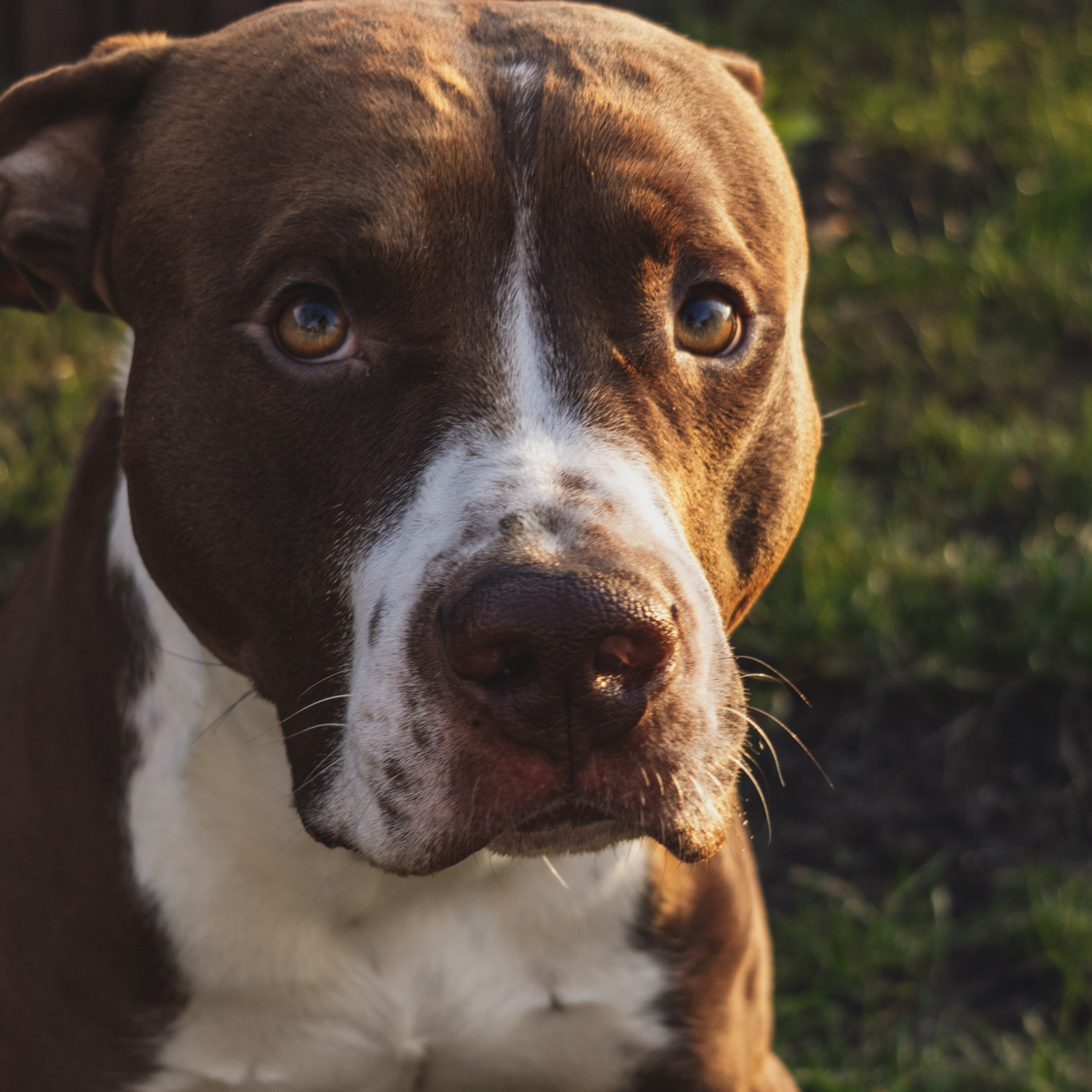 Репортажный фотограф Кирилл Бартенев