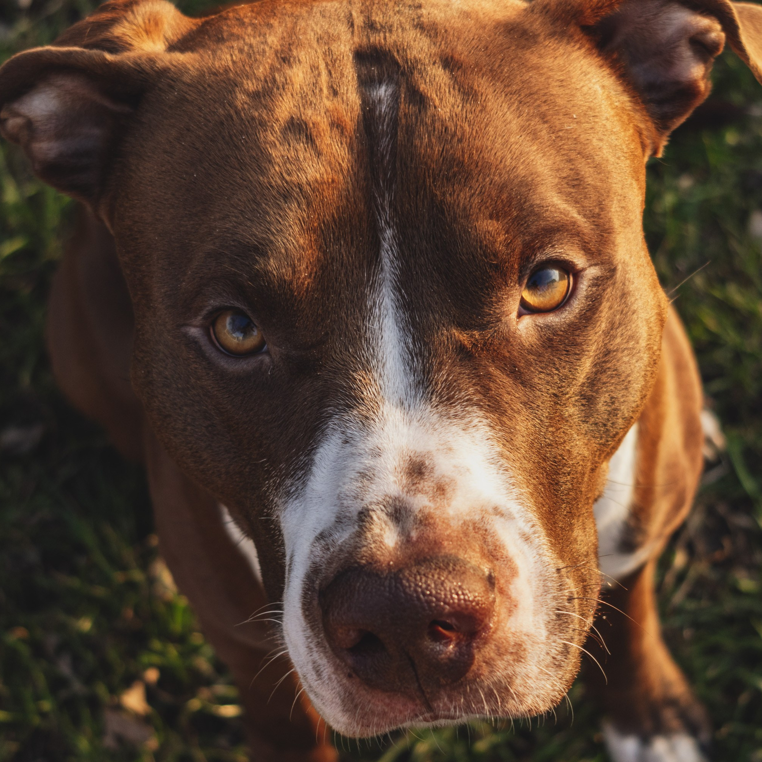 Репортажный фотограф Кирилл Бартенев