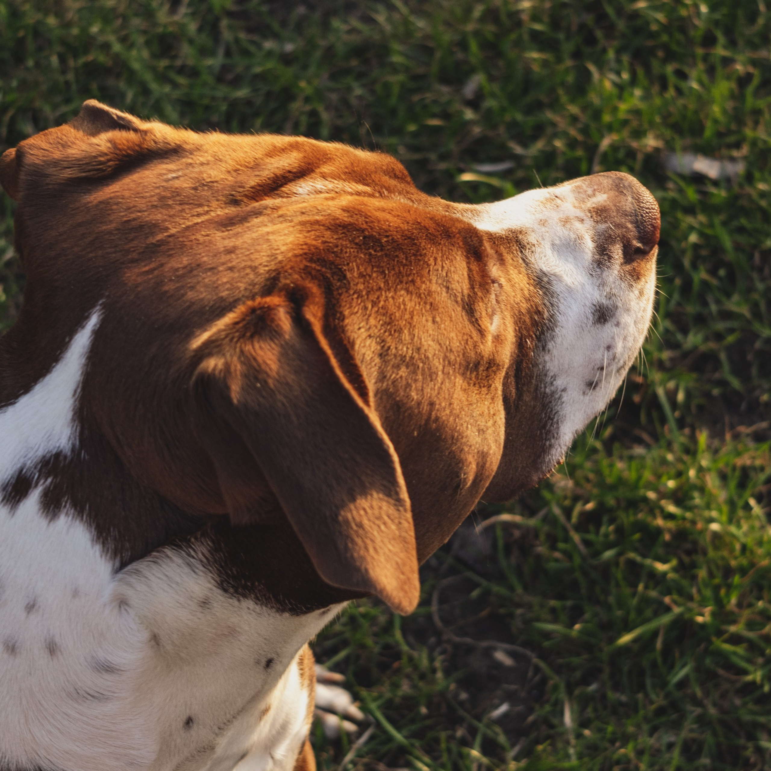 Репортажный фотограф Кирилл Бартенев