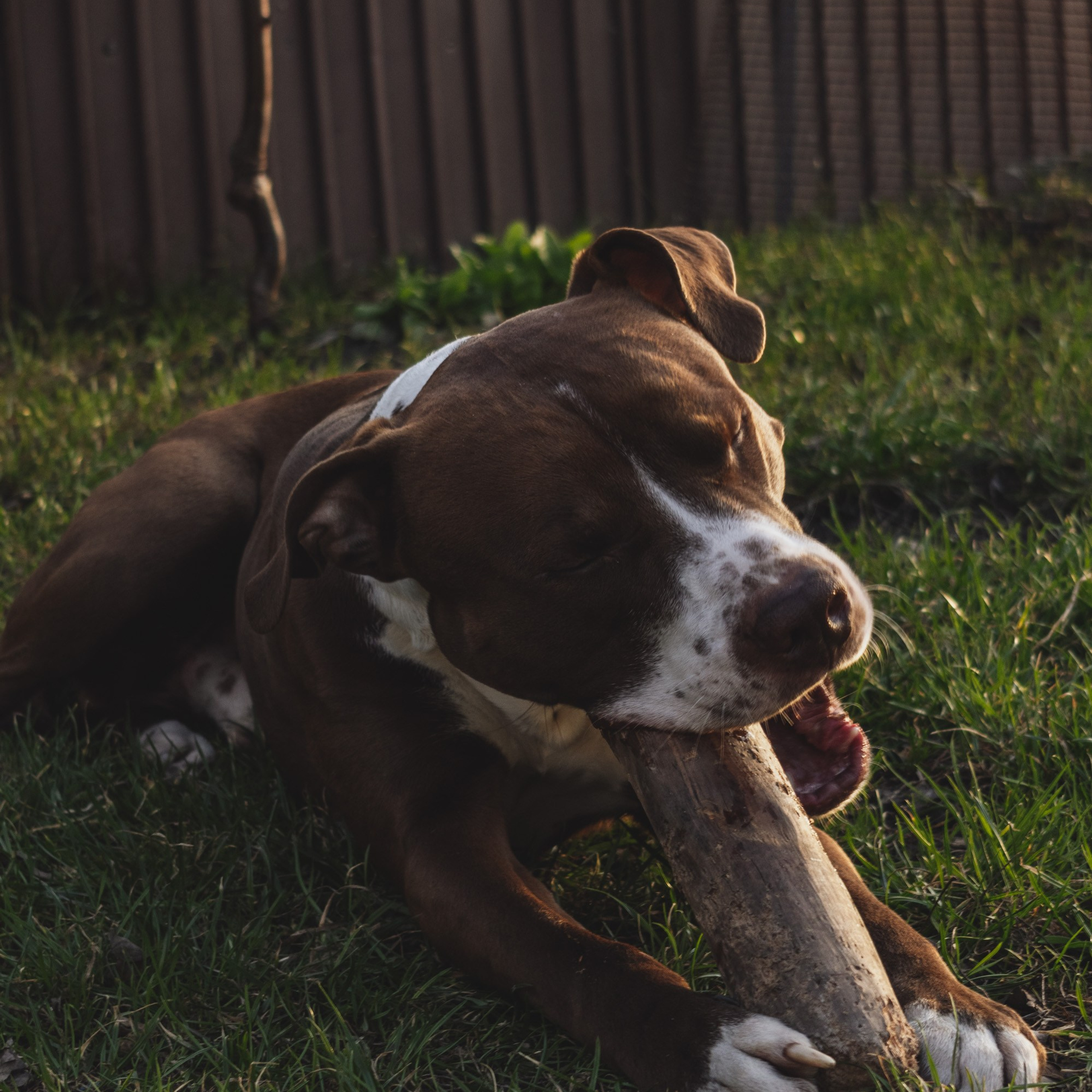 Репортажный фотограф Кирилл Бартенев