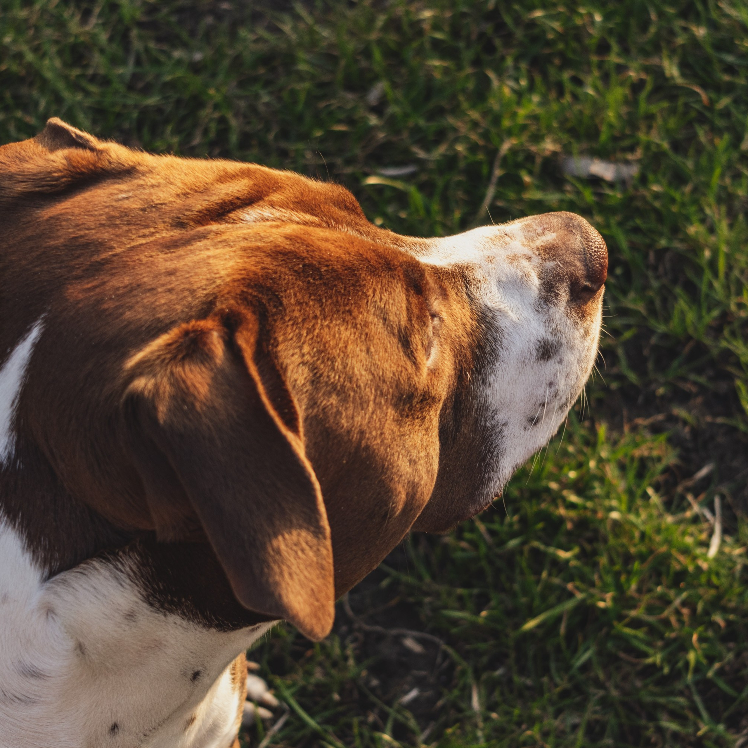 Репортажный фотограф Кирилл Бартенев