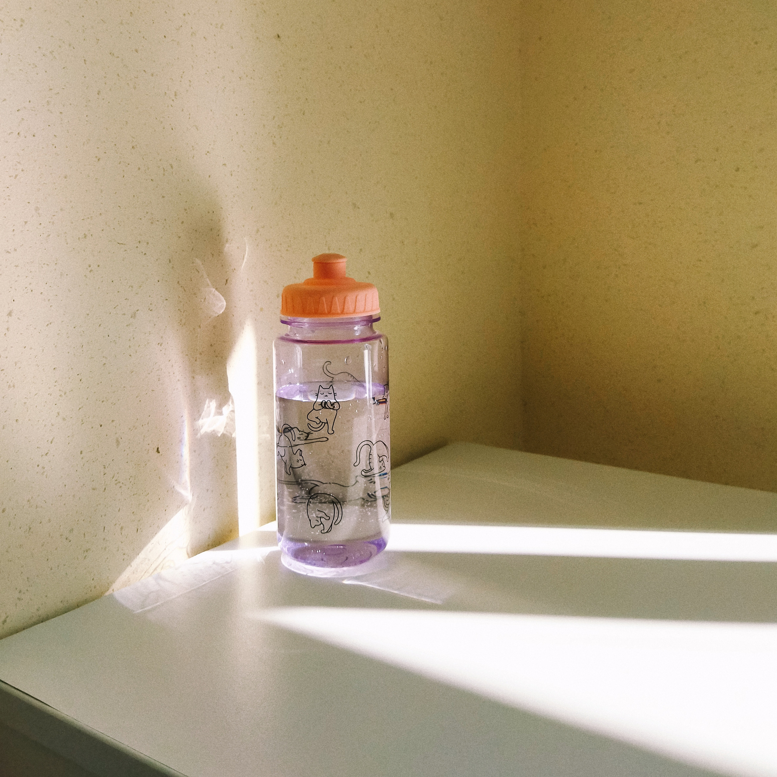 Sanatorium. Maria Marco | photographer, artist