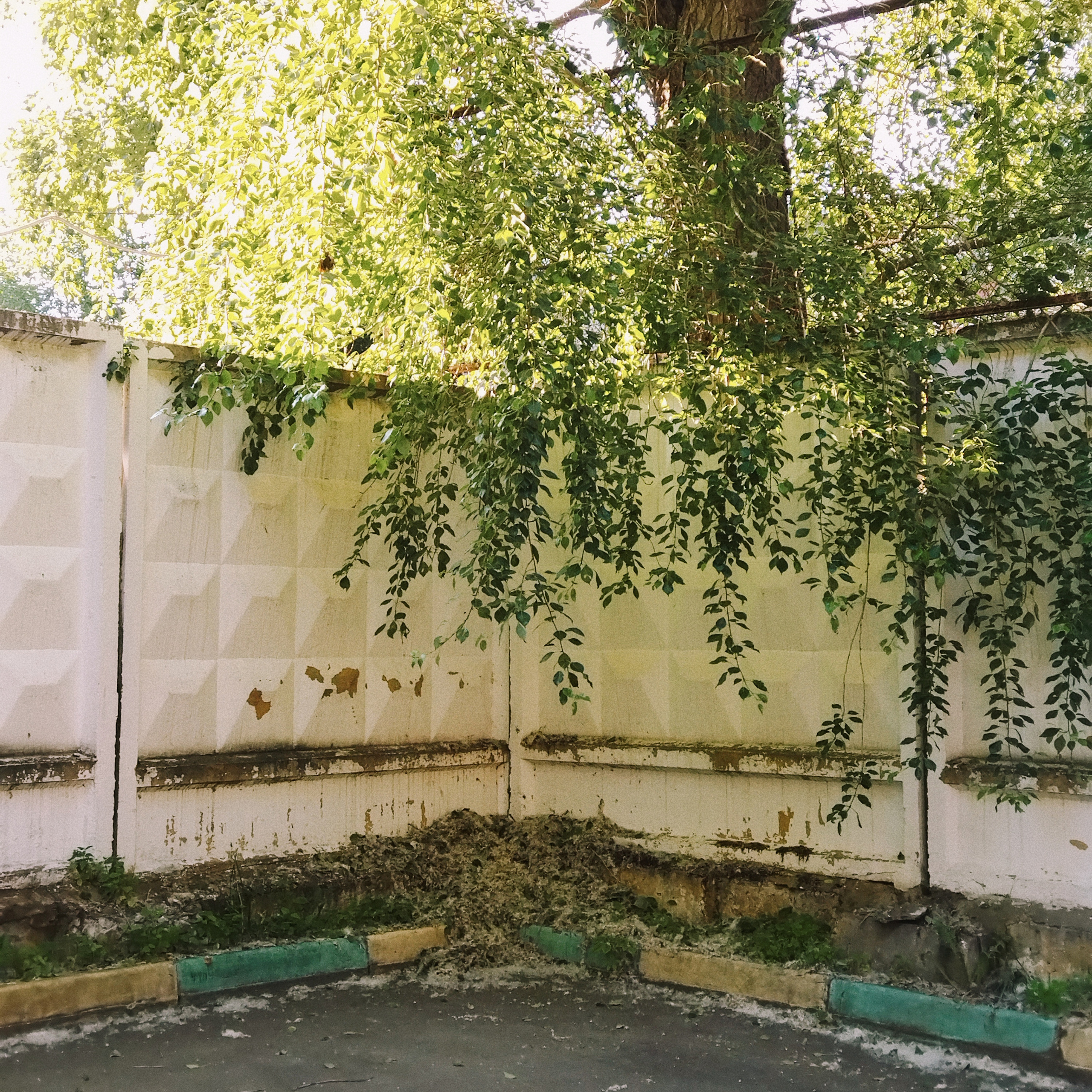 Sanatorium. Maria Marco | photographer, artist