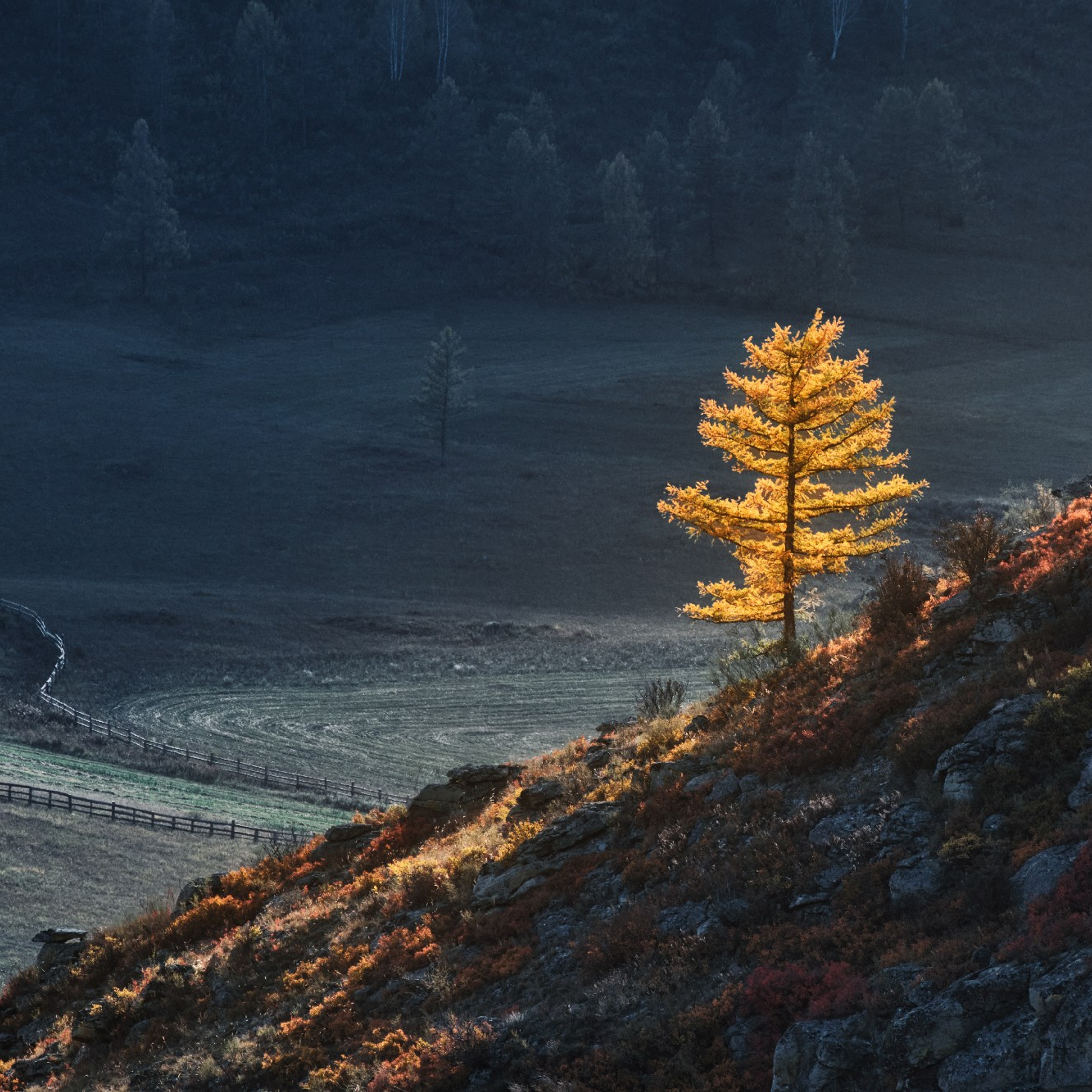 Осенний Алтай (20.09 — 29.09.25). Фотограф Константин Шамин