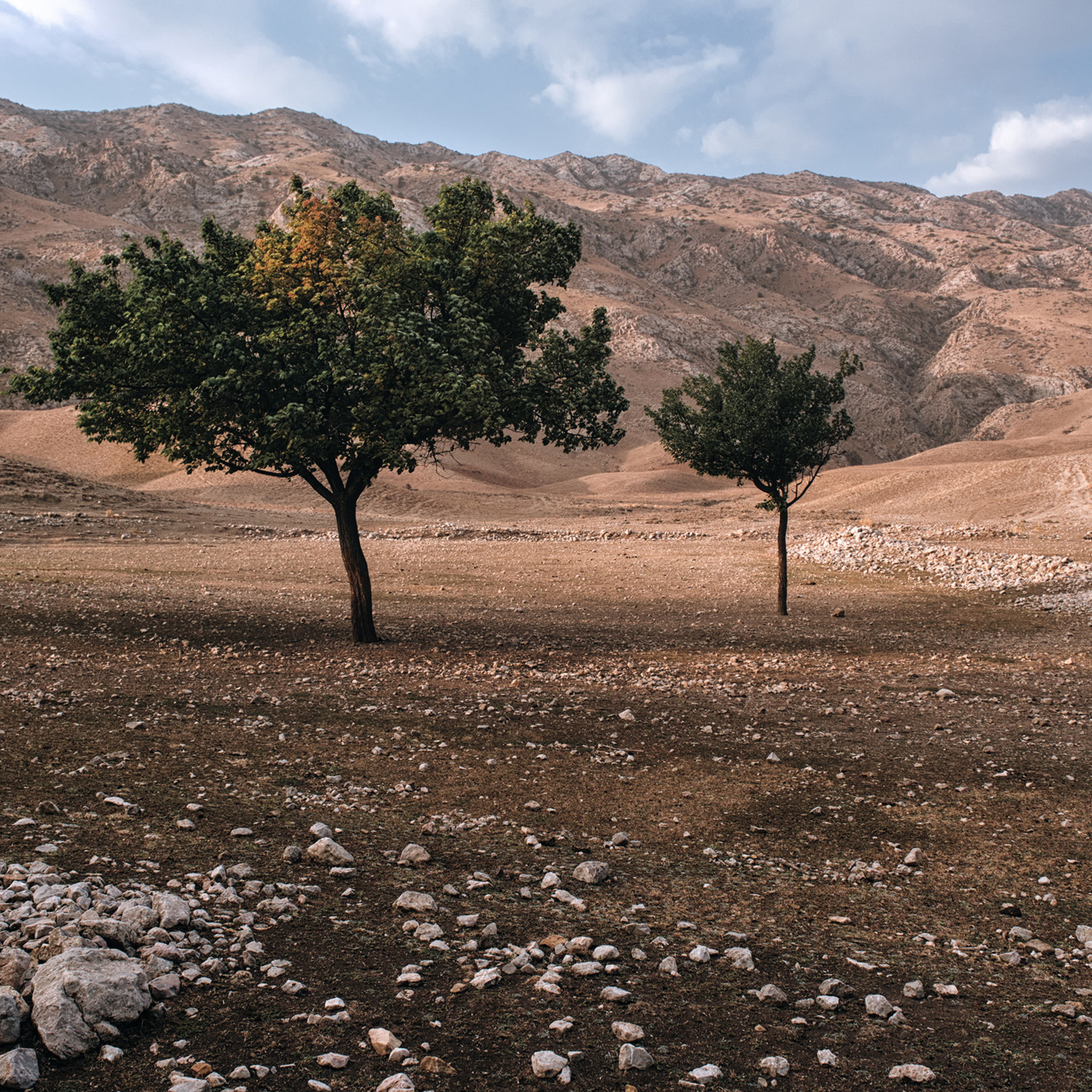 Киргизия — геопарк Мадыген. Фотограф Константин Шамин