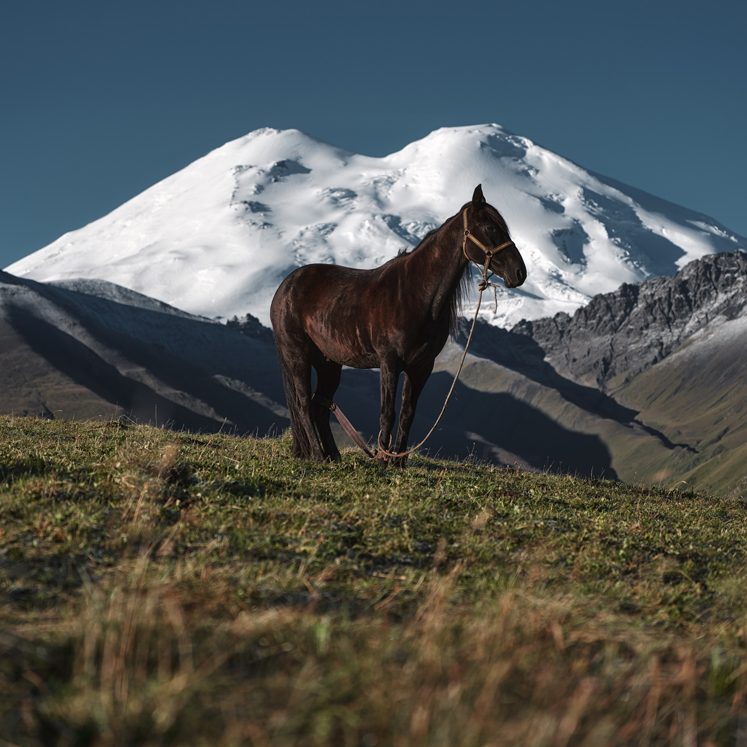 Фототур «Летний Кавказ 26.06.2022 — 03.07.2022». Фотограф Константин Шамин