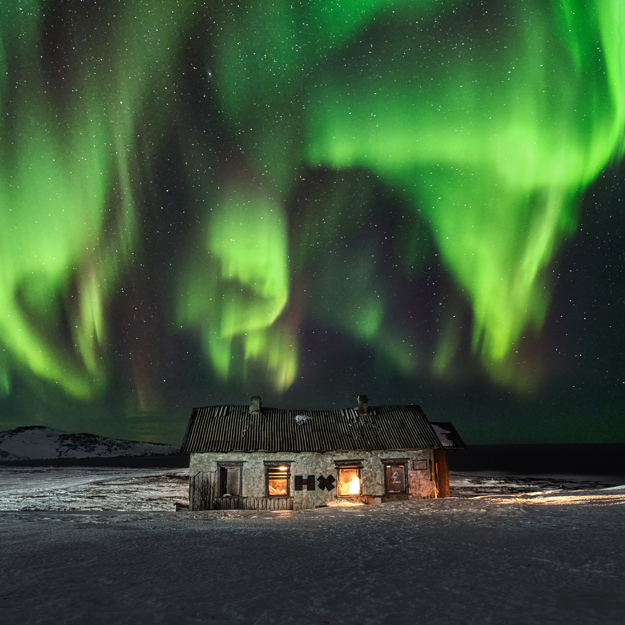 В погоне за китами. Фотограф Константин Шамин